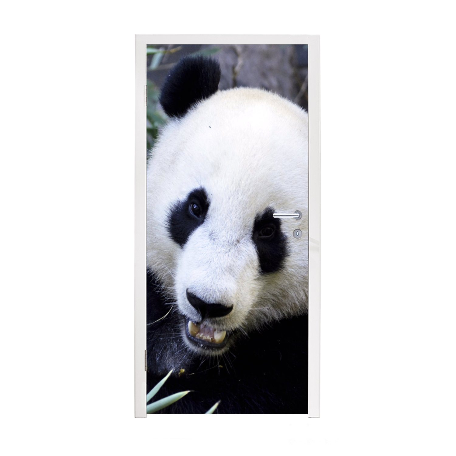 MuchoWow Türtapete Panda - Tier - Blätter, Matt, bedruckt, (1 St), Fototapete für Tür, Türaufkleber, 75x205 cm
