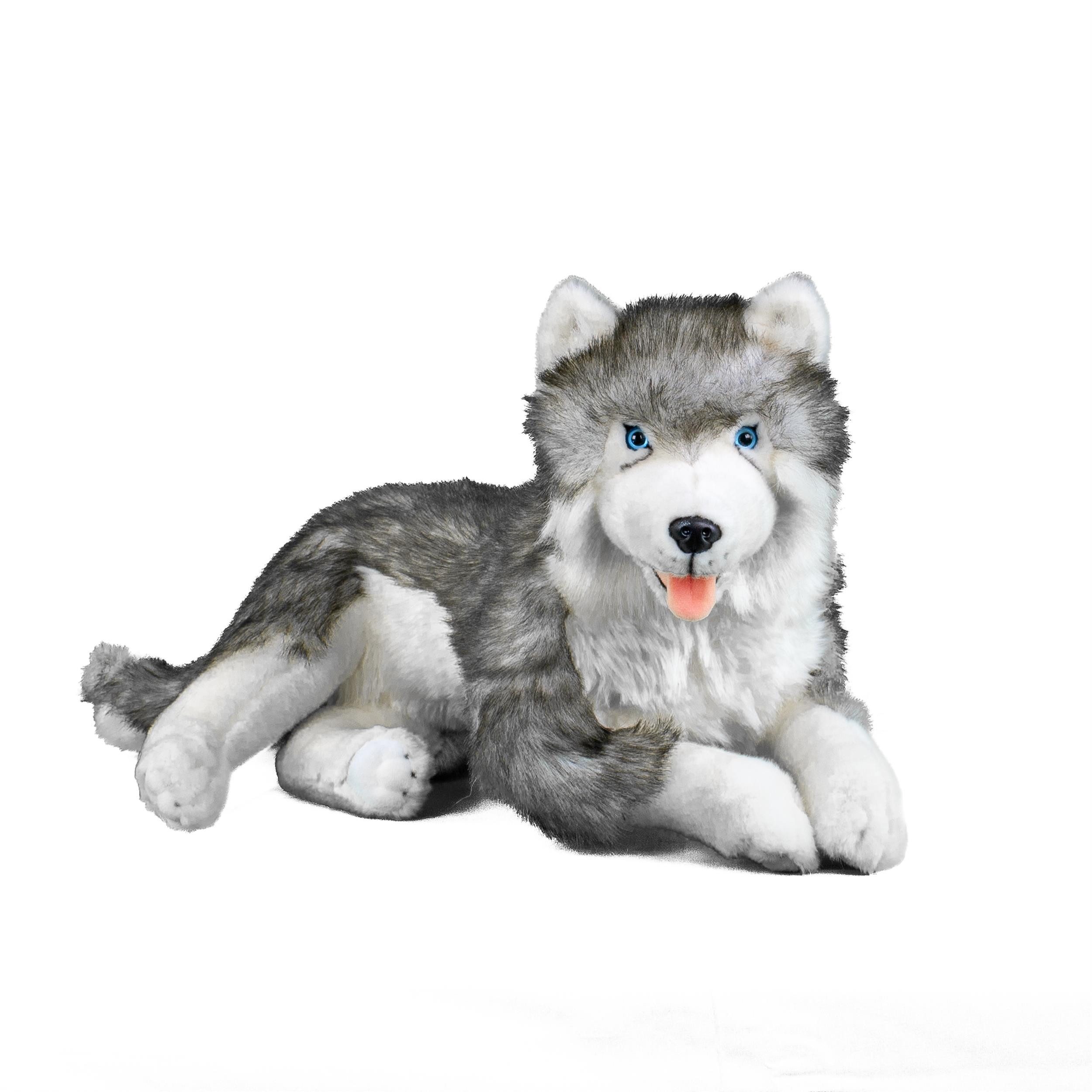 Teddys Rothenburg Kuscheltier Kuscheltier Husky grau-weiß liegend 60 cm Hund