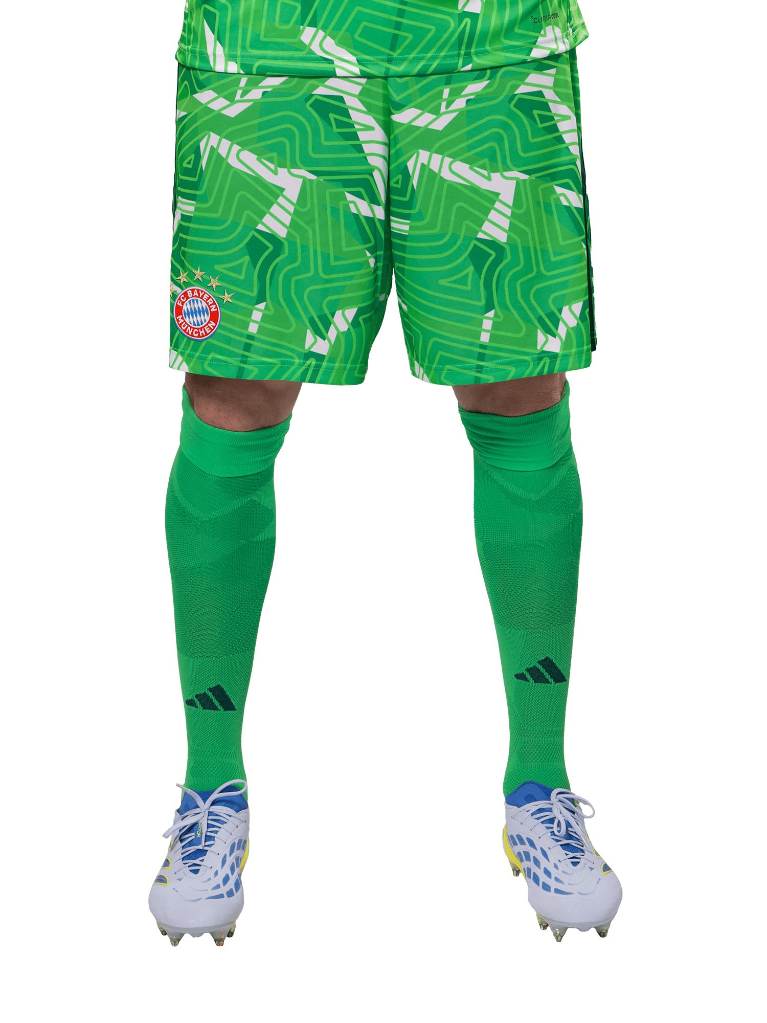 adidas Performance Shorts FC Bayern München, Short Torwart 26-27, Herren, Grün