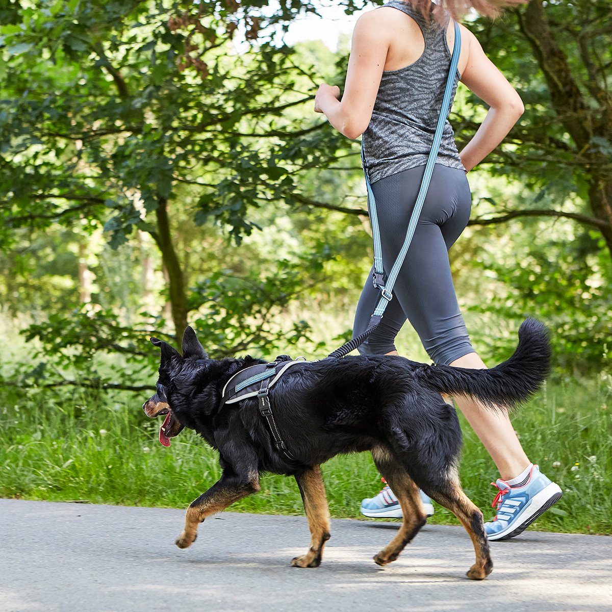 MeLiTec Joggingleine Geschirr + Leine B77 günstig online kaufen