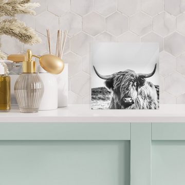 MuchoWow Acrylglasbild Kuh - Schottischer Hochländer - Schwarz - Weiß - Tier - Natur -, (1 St), Glasbilder - Bilder auf Glas Wandbild - Foto auf Glas - Wanddekoration
