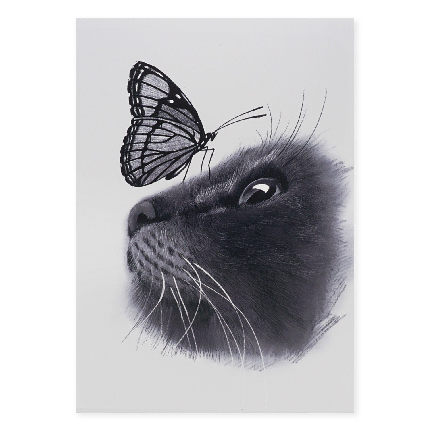 GalaxyCat Poster »Katze & Schmettling Wandbild, Poster auf Hartscha«, Katze  & Schmetterling, Katzen Schwarz/Weiß Wandbild online kaufen | OTTO