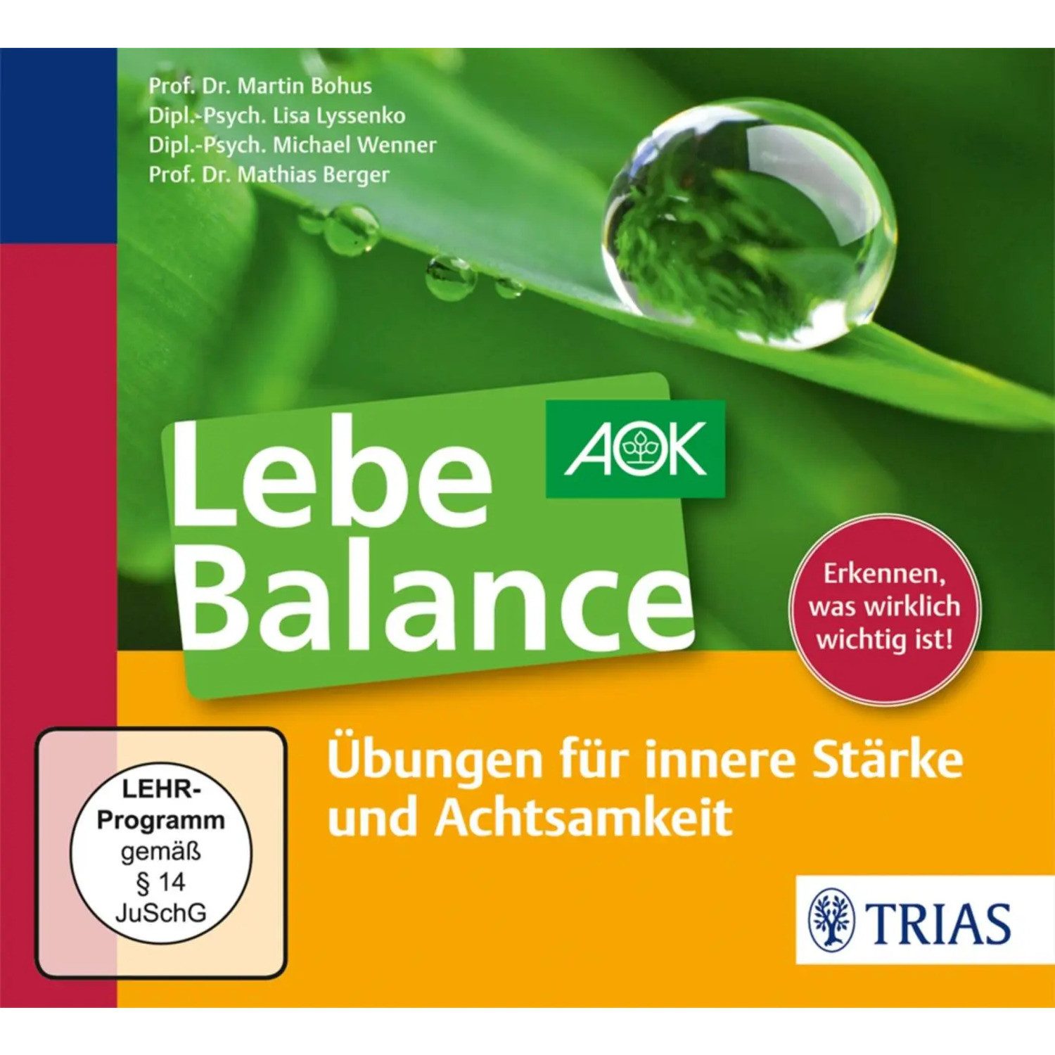 Thieme Hörspiel Lebe Balance Audio-CD