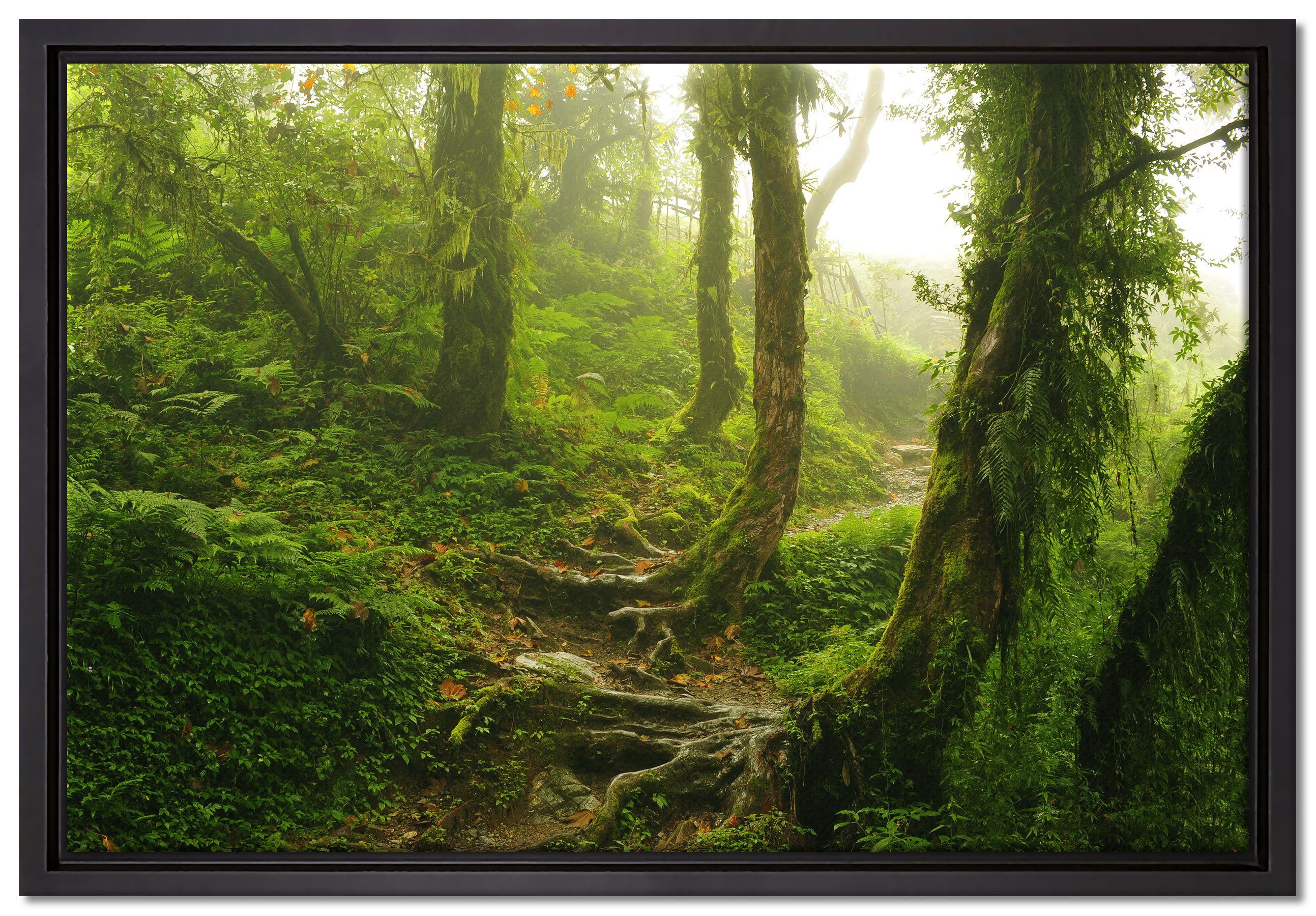 Pixxprint Leinwandbild Unberührter Regenwald, Schattenfugen-Bilderrahmen Zackenaufhänger gefasst, Wanddekoration bespannt, (1 inkl. Leinwandbild fertig in einem St)