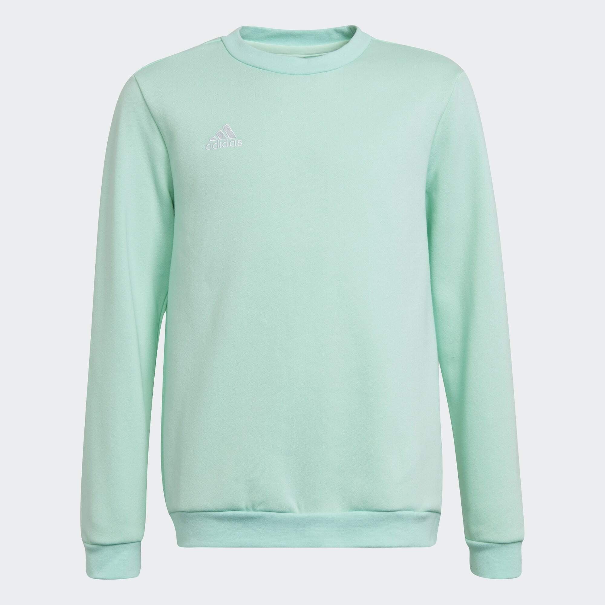 ENTRADA Sweater adidas SWEATSHIRT Clear 22 Mint Performance