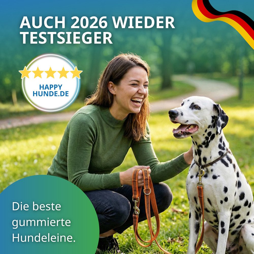 Activity4Dogs Hundeleine für große Hunde, Anti-Slip, 3 m lang, 4-fach verstellbar, TESTSIEGER, rutschfest, Nylon, sehr gut bei Regenwetter, Made in Germany – Bild 2 von 5