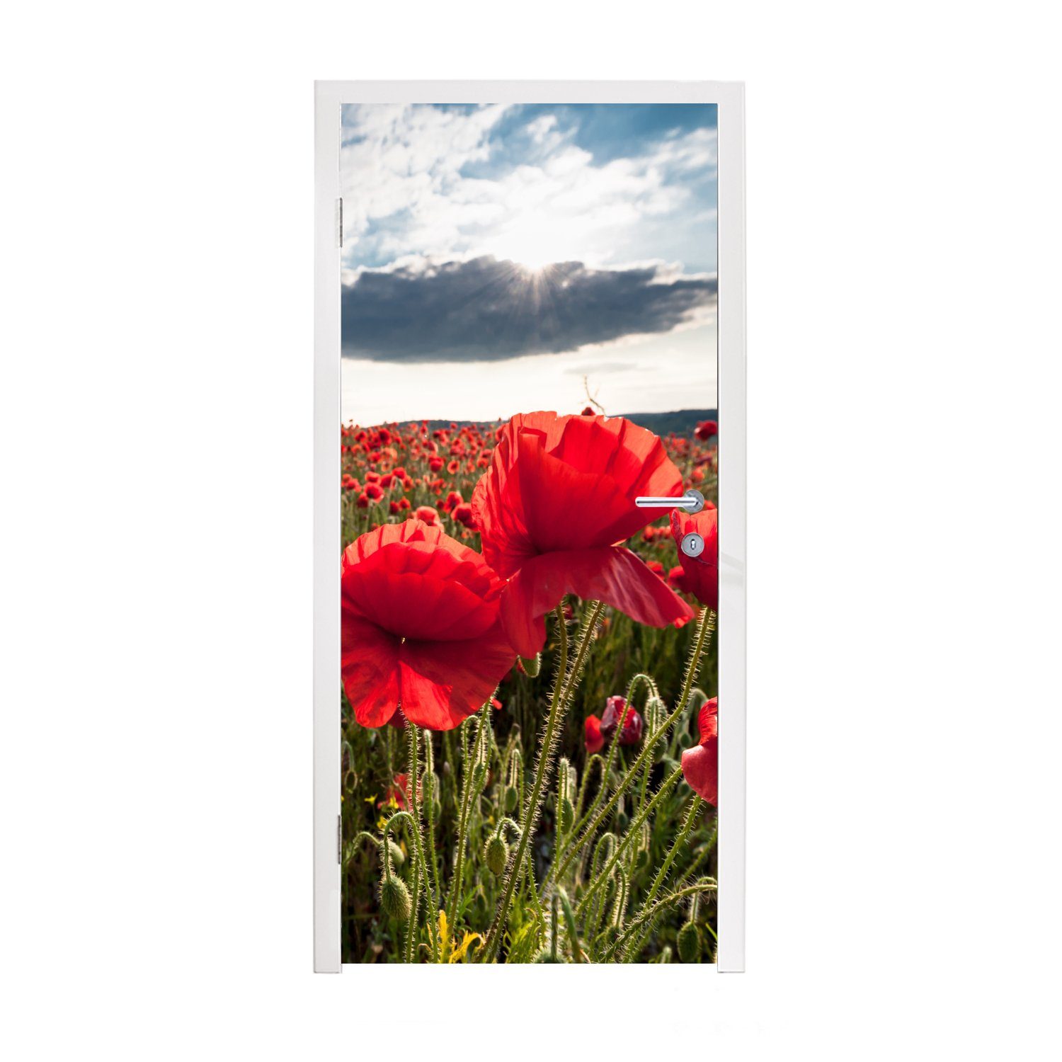 MuchoWow Türtapete Mohnblumen vor einem dramatischen, stürmischen Himmel, Matt, bedruckt, (1 St), Fototapete für Tür, Türaufkleber, 75x205 cm | Türtapeten