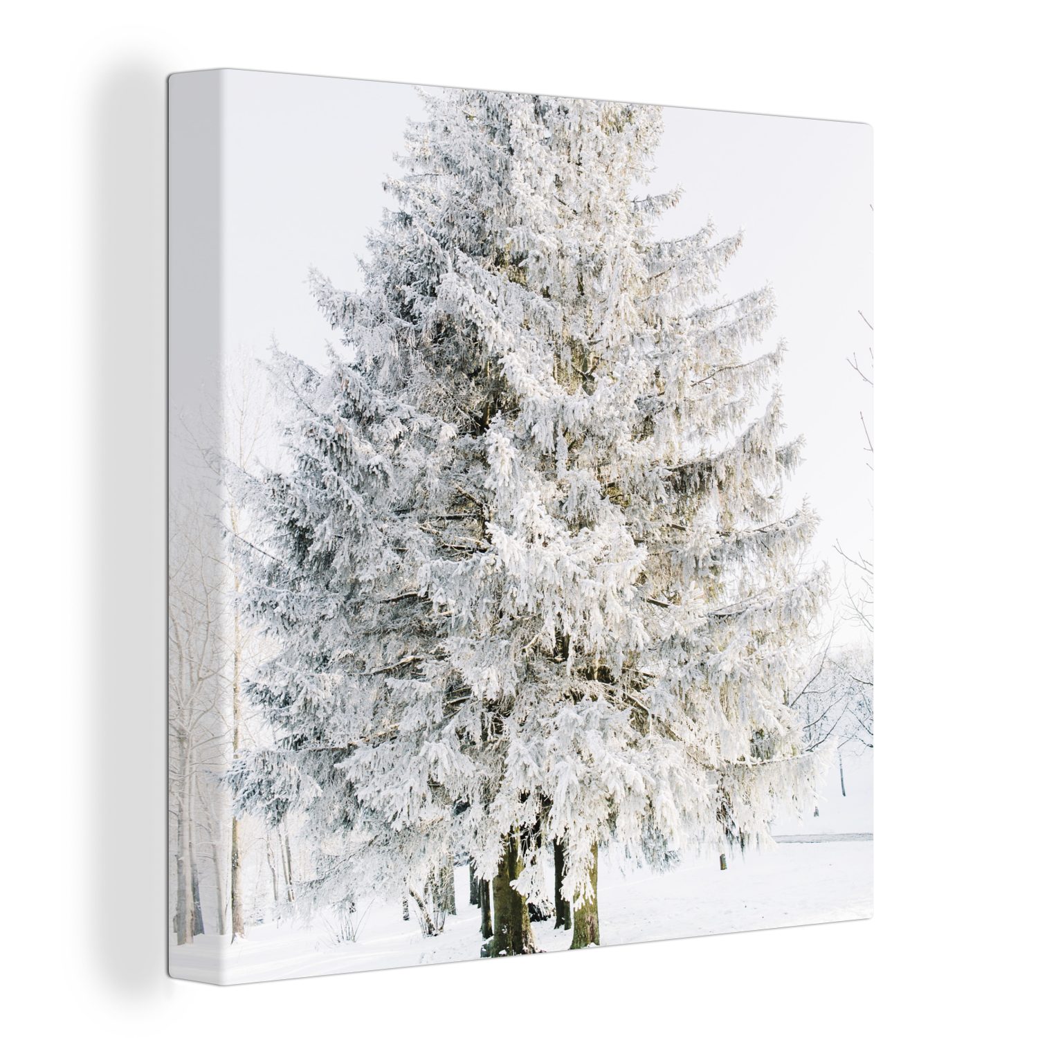 für Schnee - Schlafzimmer Wohnzimmer Weiß, (1 - - Winter Bilder - Leinwandbild OneMillionCanvasses® St), Baum Leinwand Kiefer