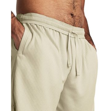 Under Armour® Trainingsshorts Herren Shorts (1-tlg)