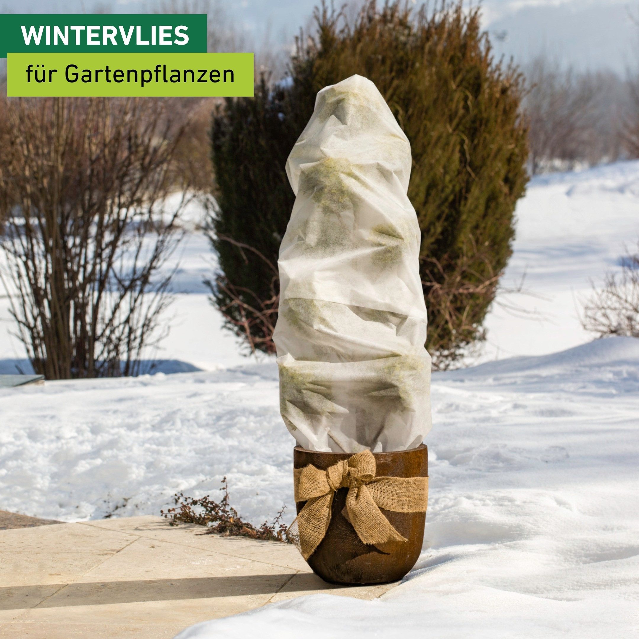 Windhager Winterschutzvlies Winter-Vlieshaube, Winter- und Kälteschutz für Pflanzen, UV stabilisiert und witterungsbeständig, 1,1x1,1 m, Stärke 50 g/m2