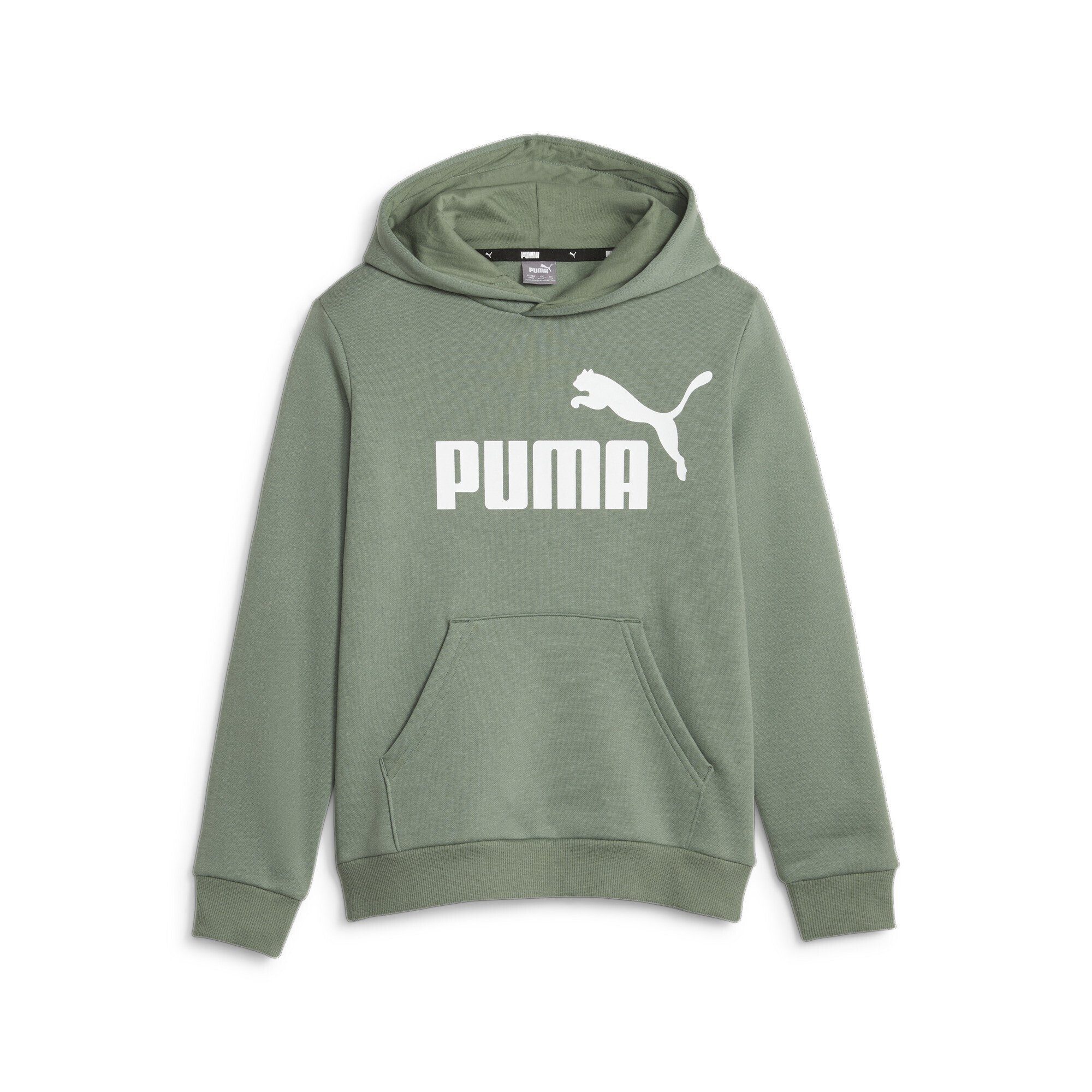 PUMA Sweatshirt Green Hoodie Logo Jungen mit Eucalyptus großem Essentials