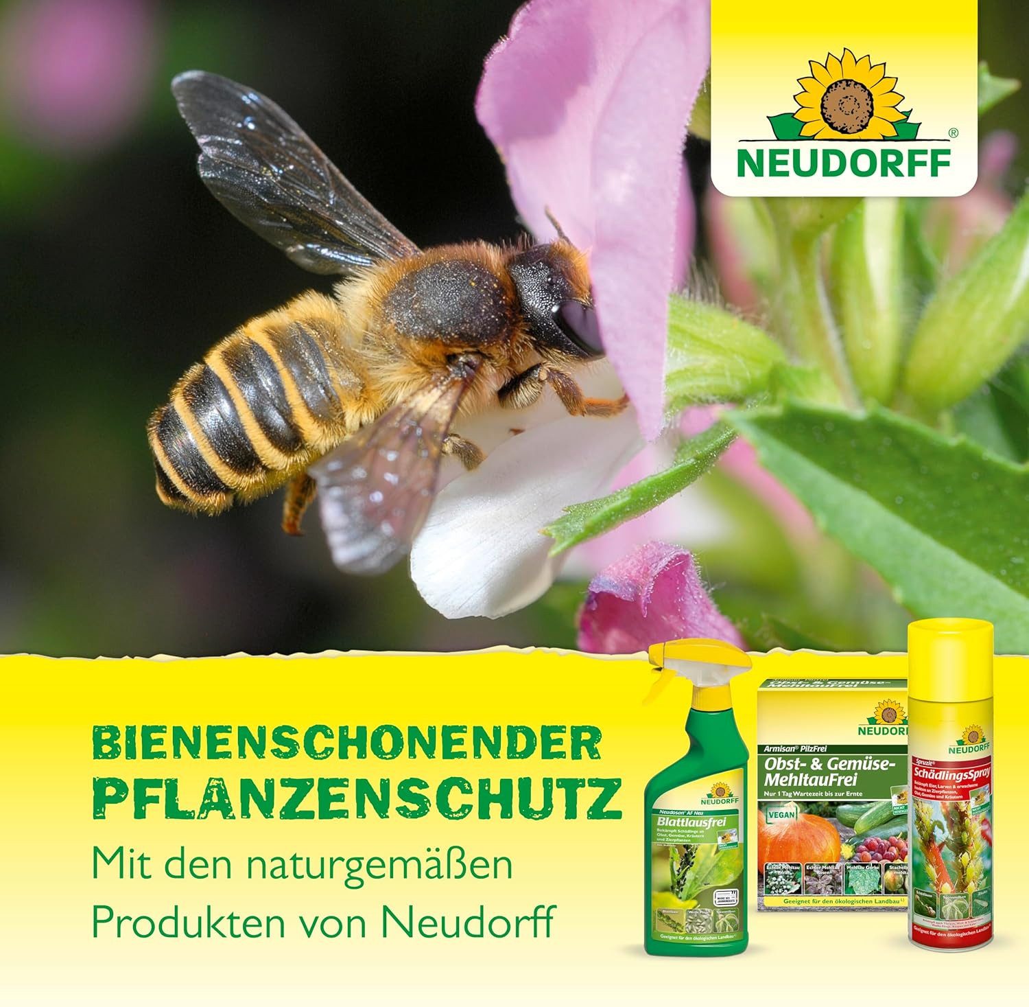 Neudorff Insektenspray Insektenspray Spruzit Schädlingsfrei 50 ml Konzentrat, 50 ml, biologische Bekämpfung von Schädlingen