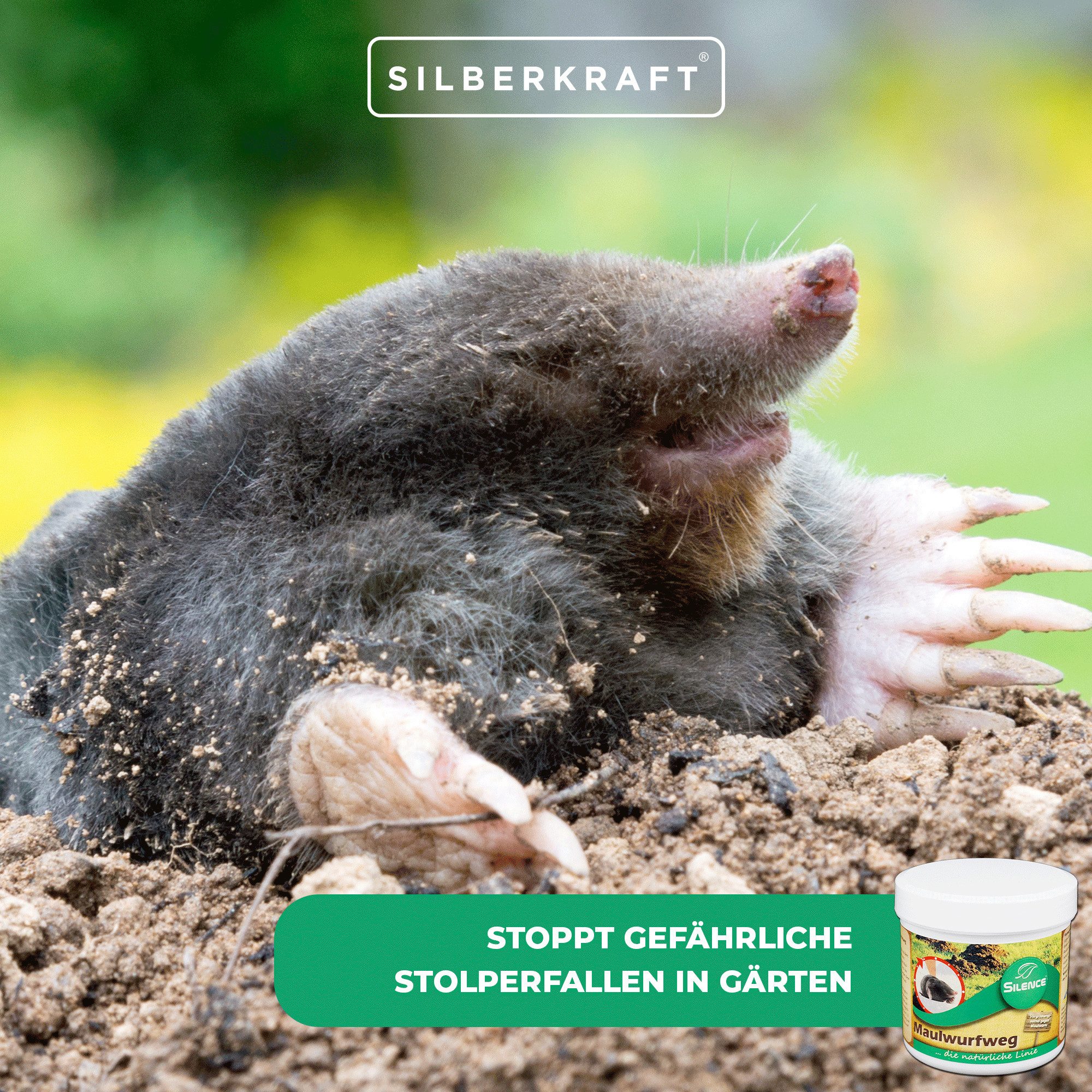 Dr. Stähler Vergrämungsmittel Maulwurfweg - Vergrämungsmittel für den Garten - Maulwürfe vertreiben, 50 Duftkugeln, Maulwurfabwehr ohne Falle, 50-St., Maulwurfweg Duftkugeln – Effektive Maulwurfabwehr im Garten, Duftkugeln gegen Maulwürfe – Vertreibt Maulwürfe im Garten