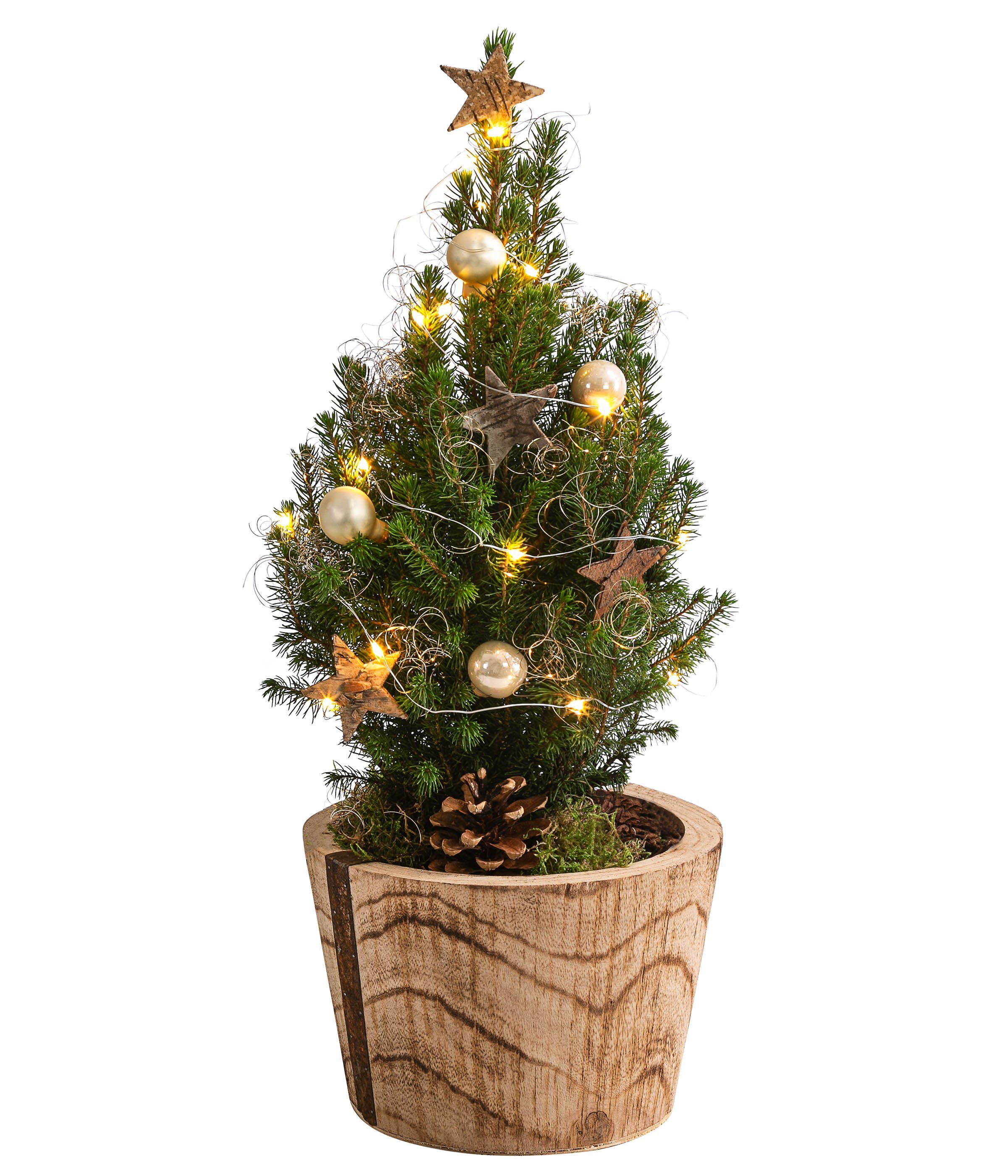 Dehner Echter Weihnachtsbaum »Loxley, geschmückte Zuckerhutfichte, 45