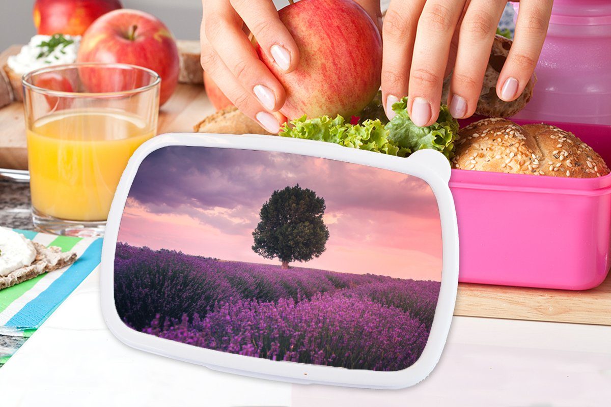 Kinder, Kunststoff Baum (2-tlg), Erwachsene, Mädchen, Lunchbox Brotbox Lila - Kunststoff, - - Blumen - Snackbox, rosa MuchoWow Natur, Lavendel für Brotdose