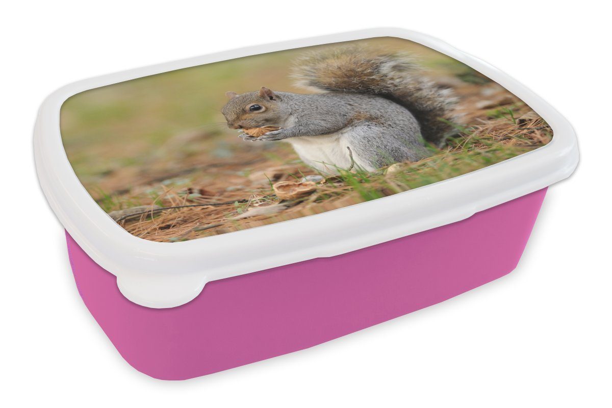 MuchoWow Lunchbox Eichhörnchen mit Erdnuss, Kunststoff, (2-tlg), Brotbox für Erwachsene, Brotdose Kinder, Snackbox, Mädchen, Kunststoff rosa