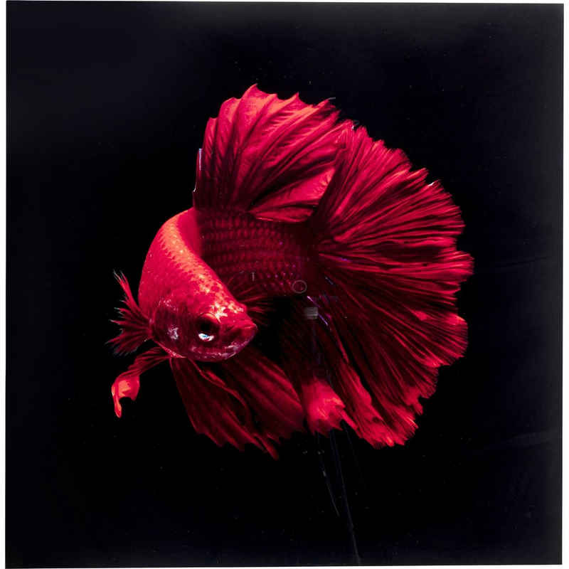 KARE Dekoobjekt »Glasbild Fire Fish 100x100«