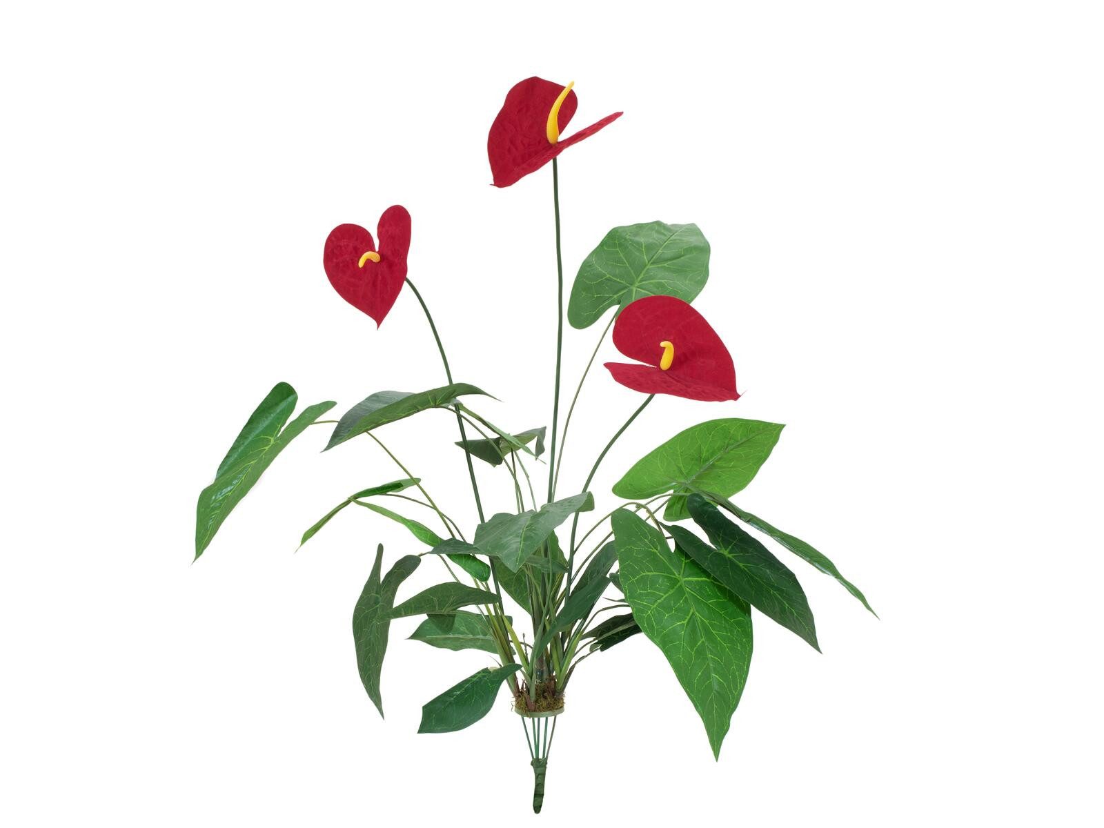 Kunstpflanze EUROPALMS Anthurium, künstlich, 70cm