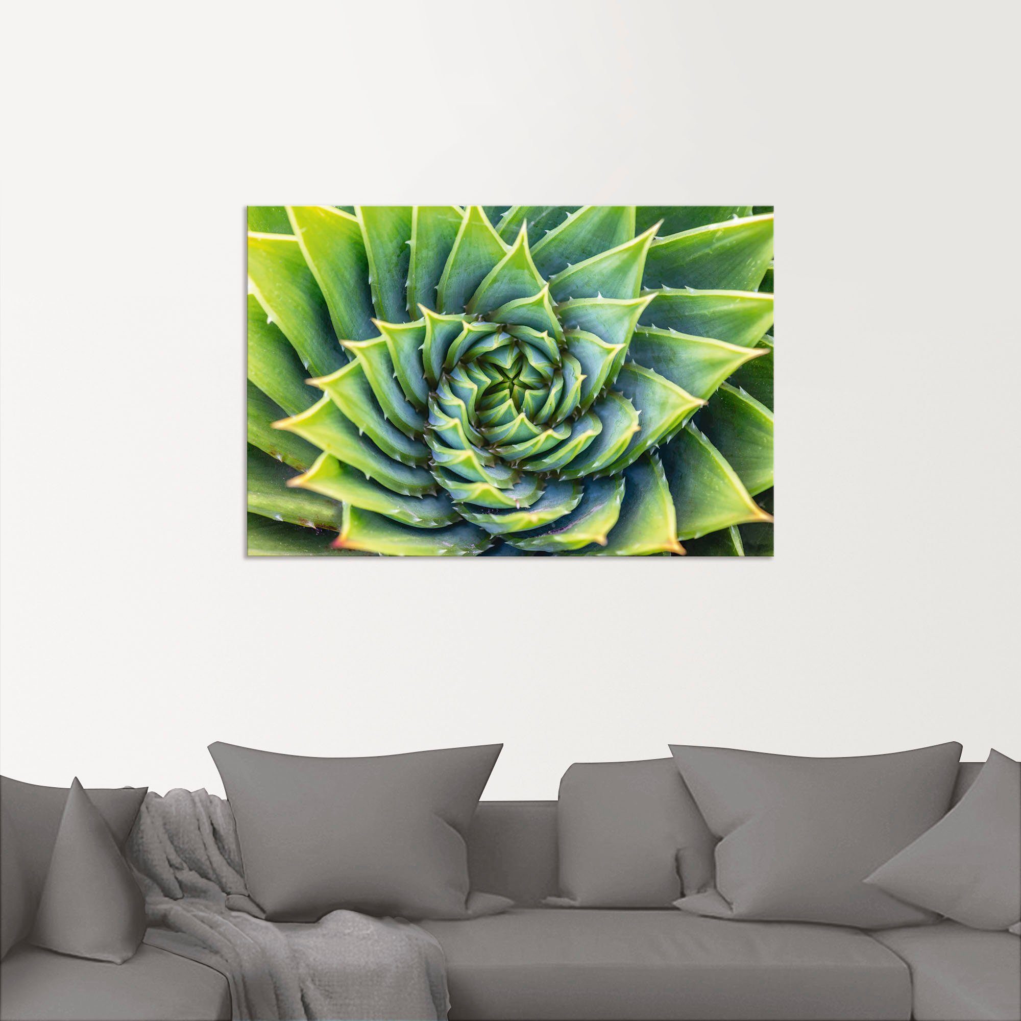 Wandaufkleber Pflanzenbilder (1 Wandbild oder Größen Leinwandbild, versch. als Artland in Spirale, Alubild, Poster Grüne St),