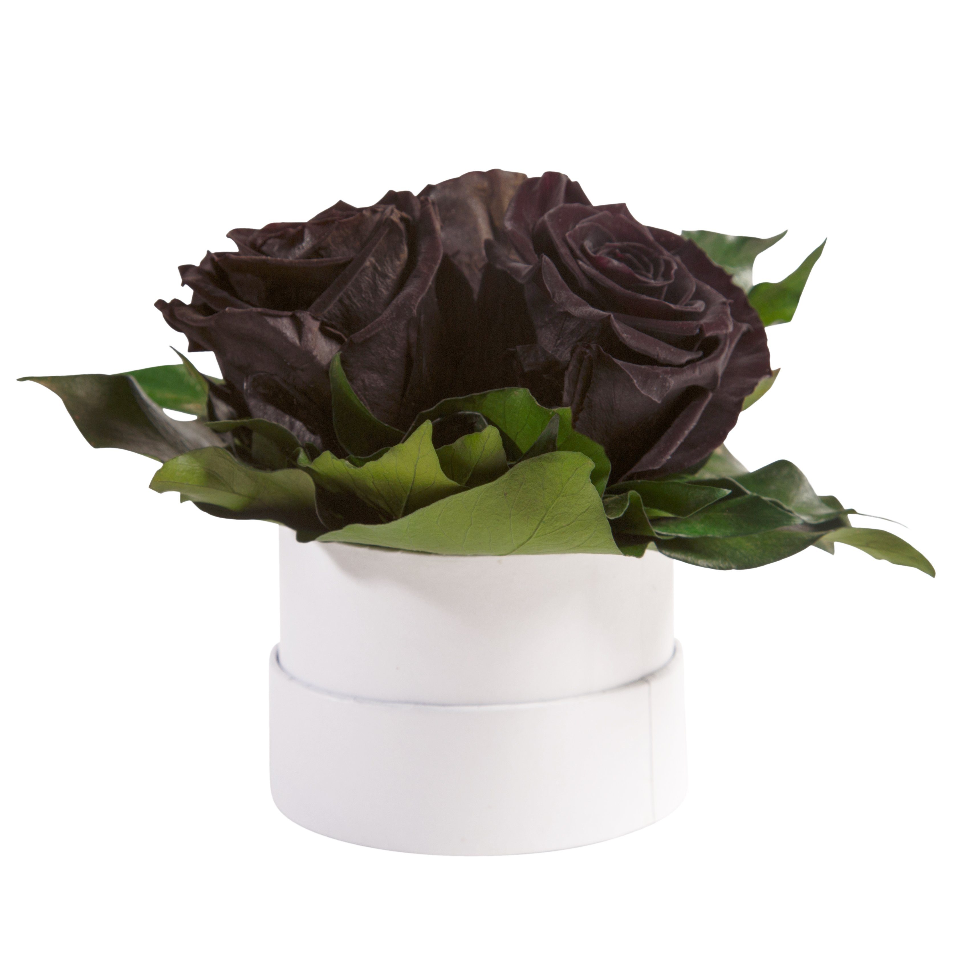 Kunstblume Infinity Rosenbox weiß rund 3 günstig online kaufen