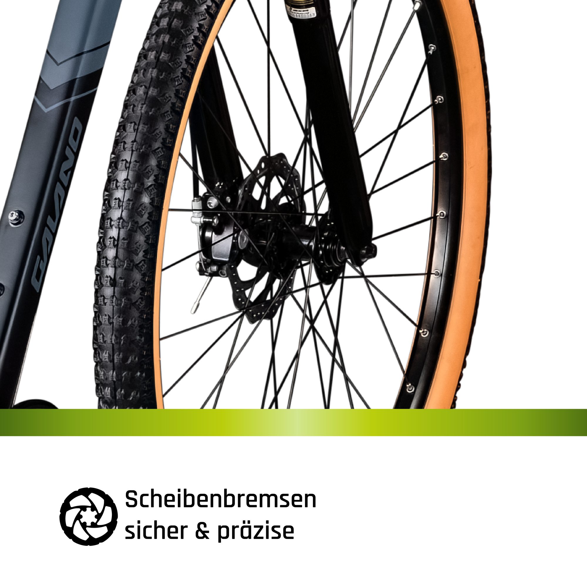 Galano Mountainbike Toxic 29", 21-speed, derailleur gears, 29-inch hardtail mountain bike for adults 175 cm and taller