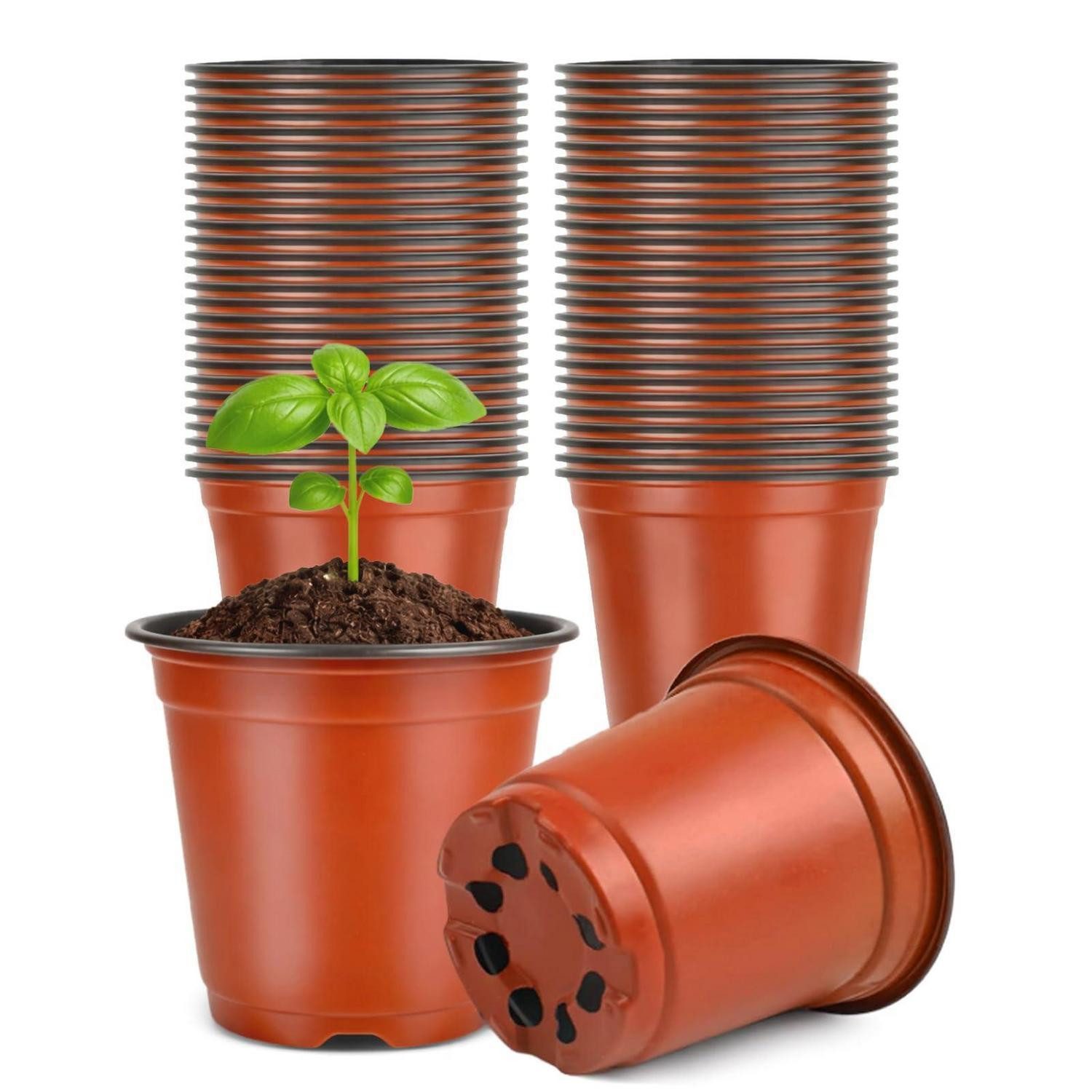 LuxusKollektion Anzuchttopf Anzuchttöpfe 10cm, 100 Stück (100 St)