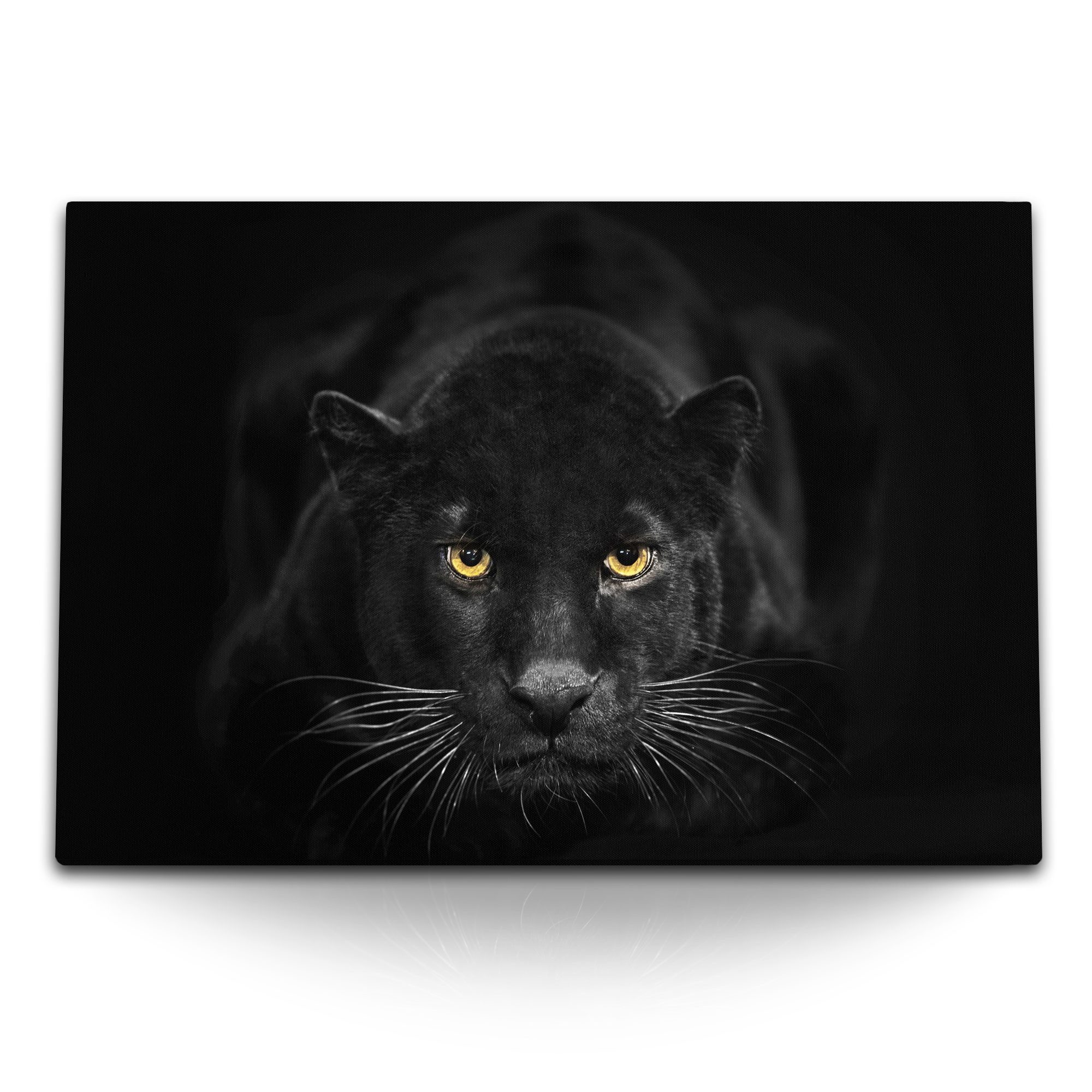 Sinus Art Leinwandbild 120x80cm Wandbild auf günstig online kaufen