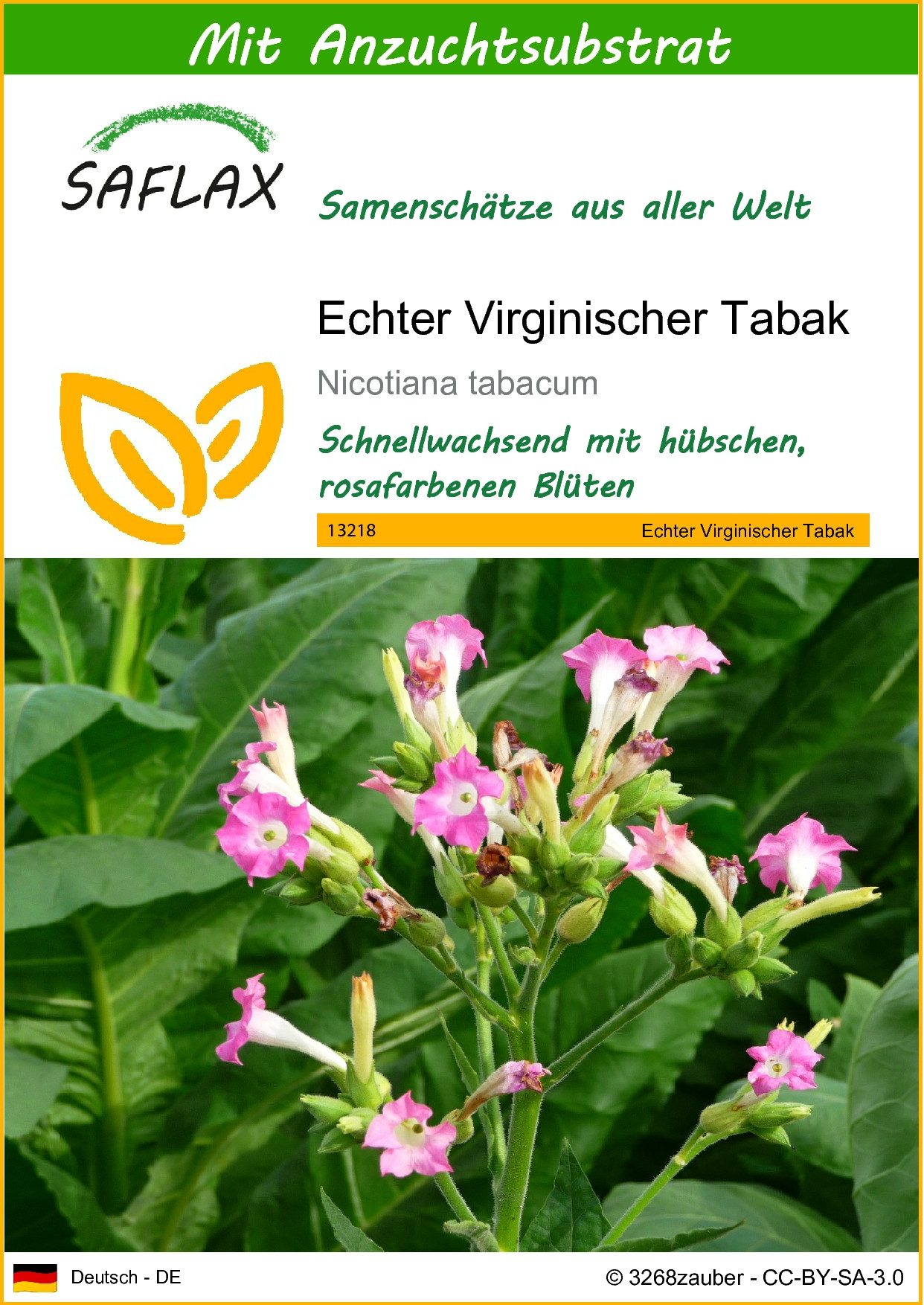 SAFLAX Blumensamen SAFLAX - Samen und Substrat - Echter Virginischer Tabak