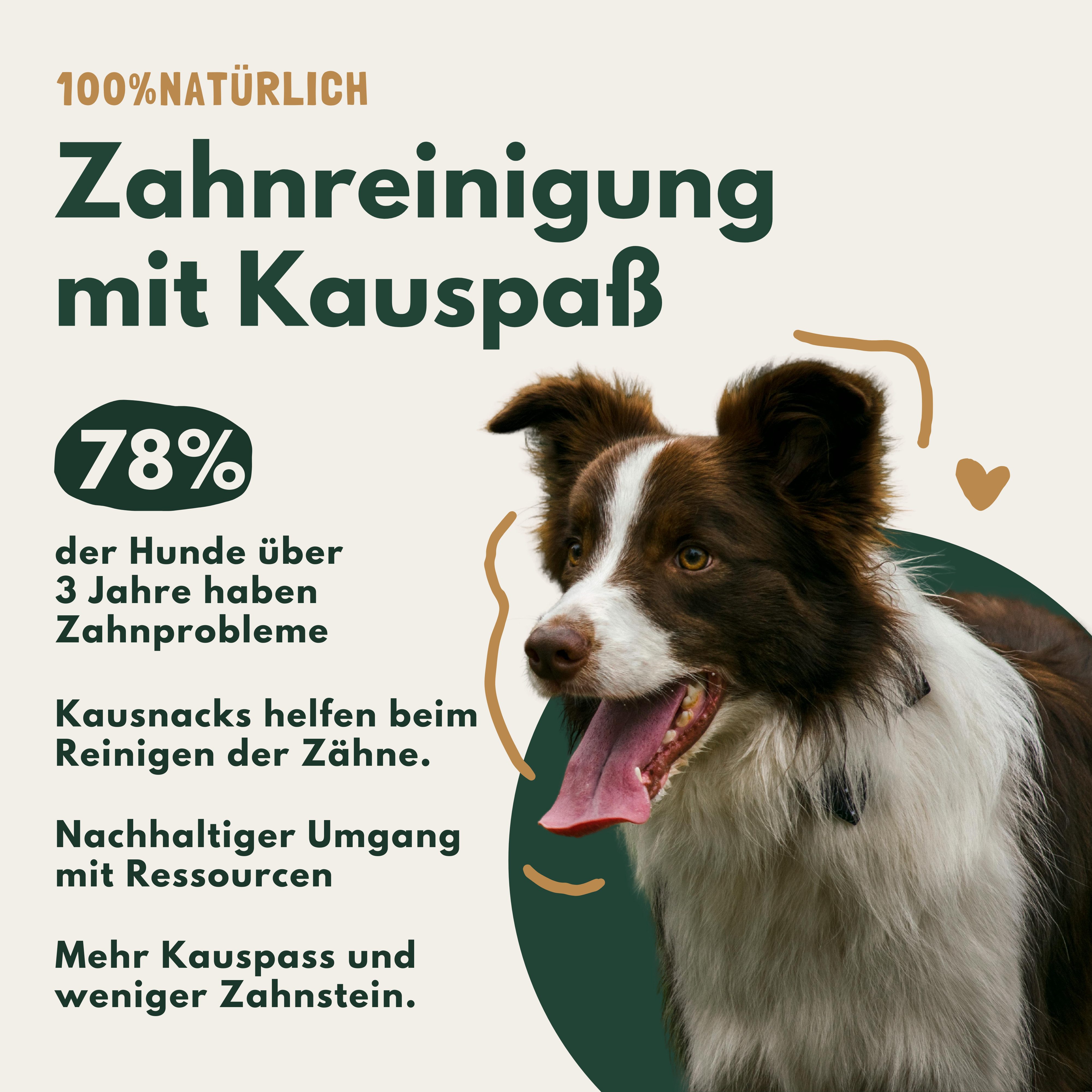 Breers Pet Food Rinderpansen Weiß Hundeleckerli Hundesnack, Snack für: Hunde, Naturkauartikel, Leckerli getreidefrei, Kausnack zuckerfrei