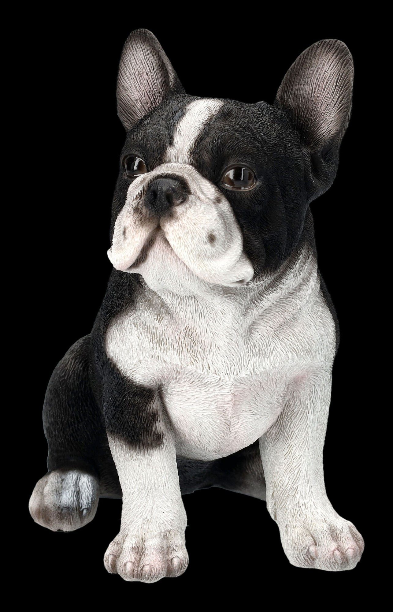 Figur - Französischer Tierfigur Welpen Dekofigur Tierfigur Figuren Hunde Bulldogge Shop GmbH