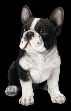 Figuren Shop GmbH Tierfigur Französischer Bulldogge Welpen Figur - Dekofigur Hunde Tierfigur