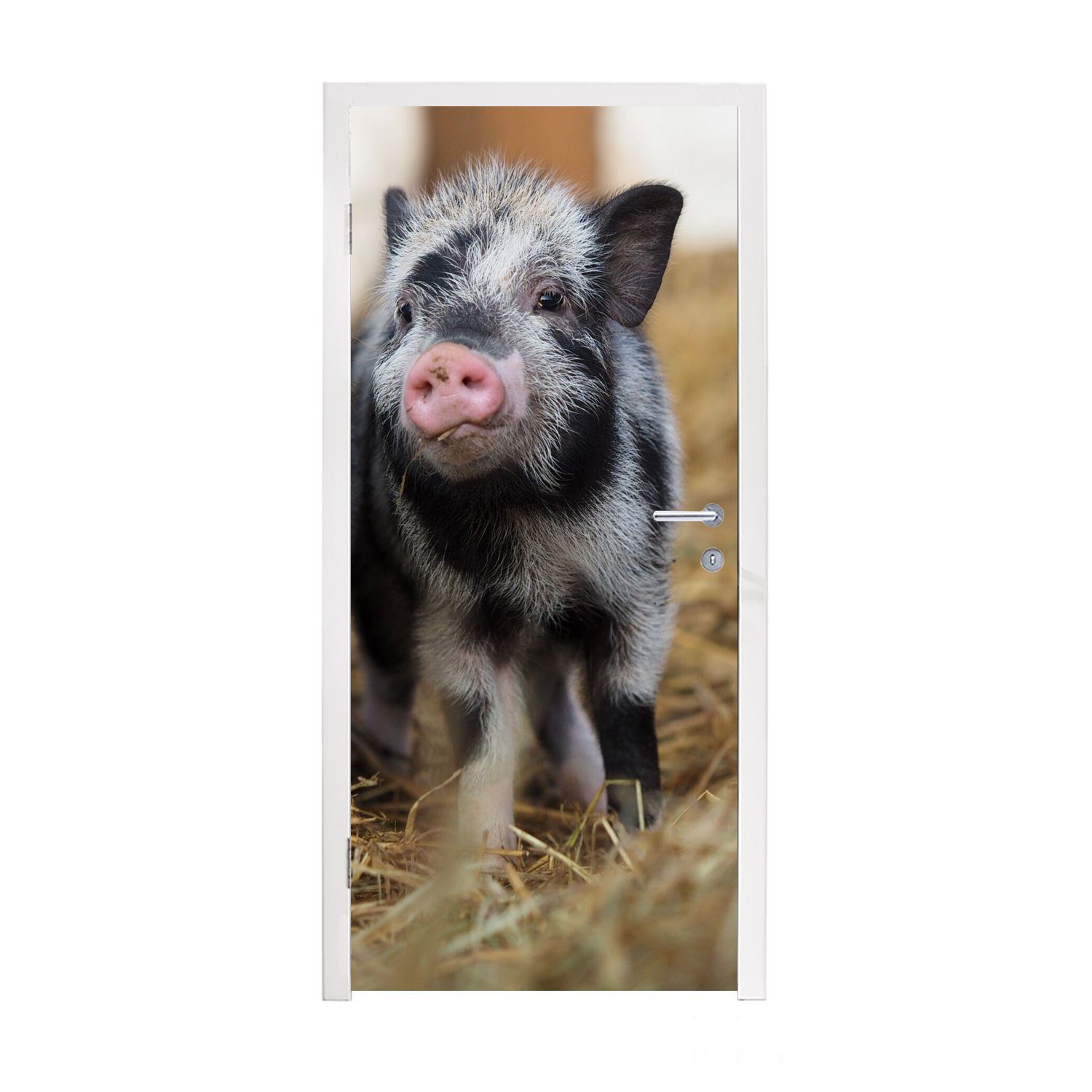 MuchoWow Türtapete Schwein - Tiere - Ferkel, Matt, bedruckt, (1 St), Fototapete für Tür, Türaufkleber, 75x205 cm