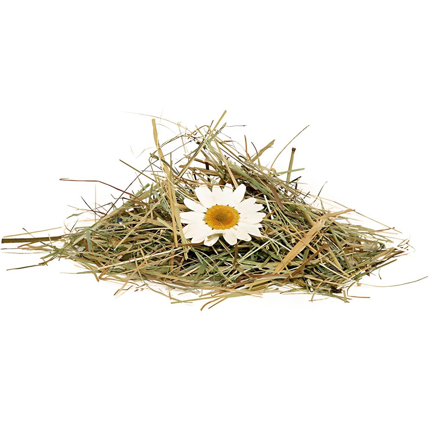 Wallface Dekorpaneele AL-11004 ALPINE DAISY selbstklebende günstig online kaufen