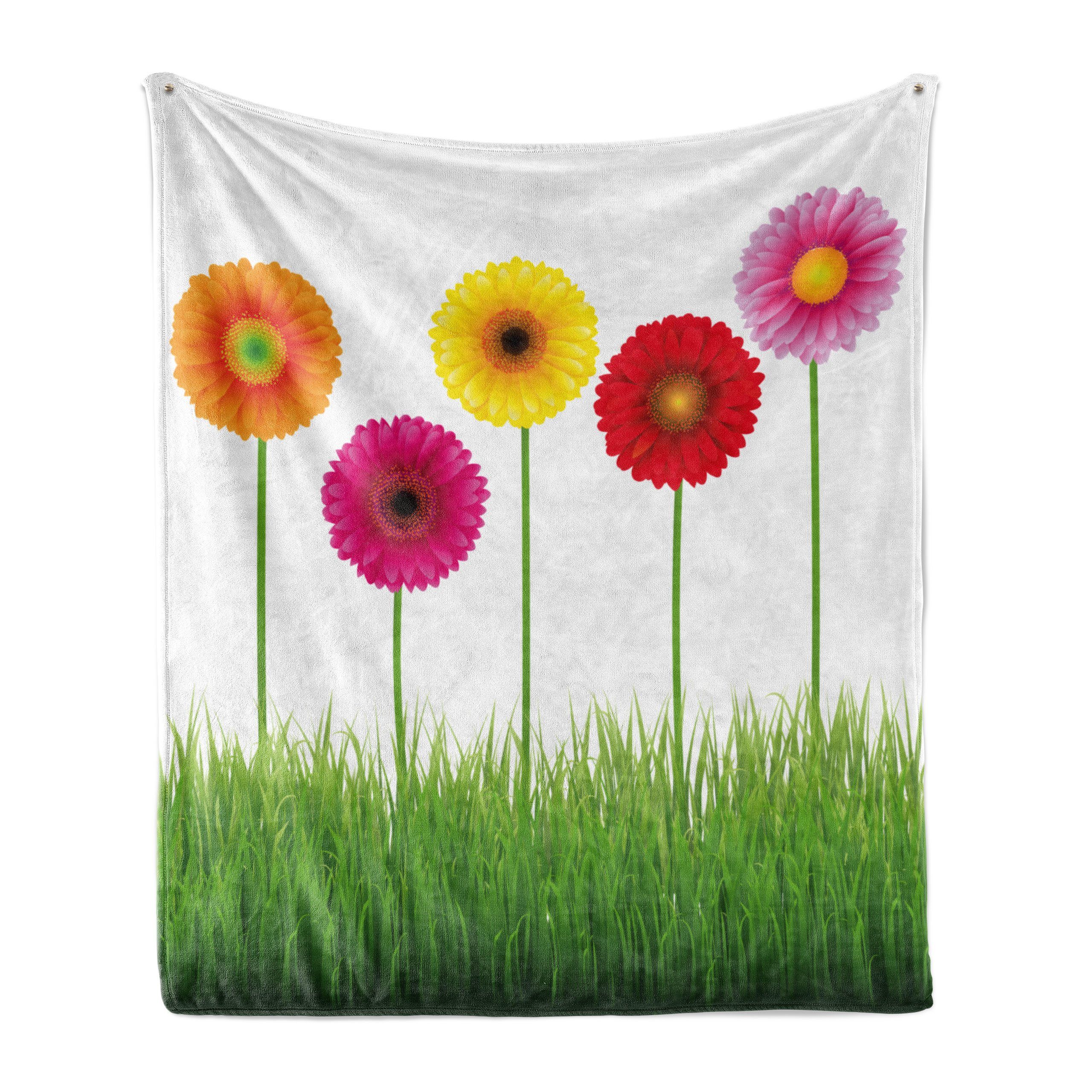 Gerber für Gemütlicher Daisy Wohndecke Klare den und Abakuhaus, Plüsch Blumen auf Gras Außenbereich, Innen-