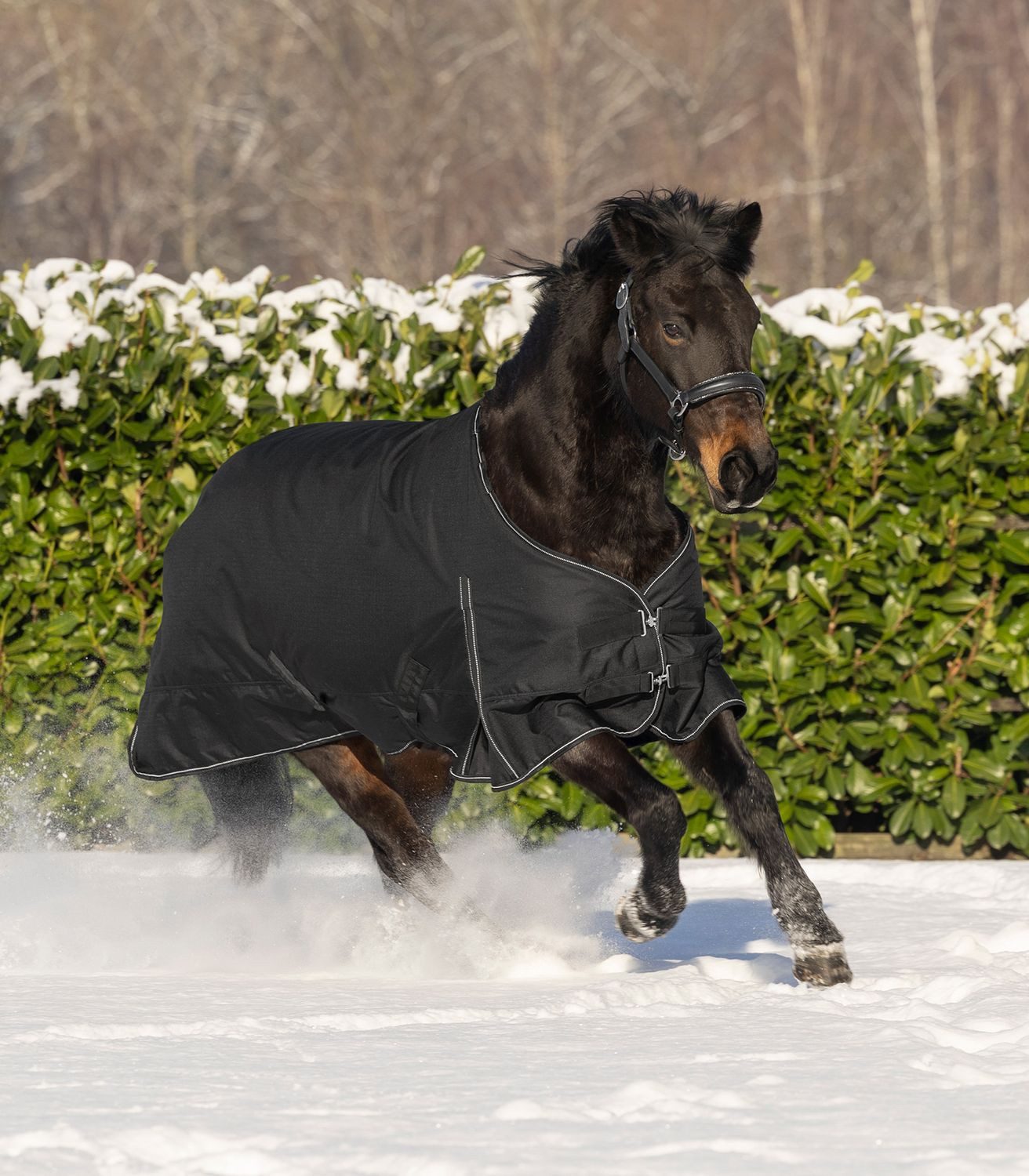 Waldhausen Paddockdecke Waldhausen Outdoordecke Nordic 100g