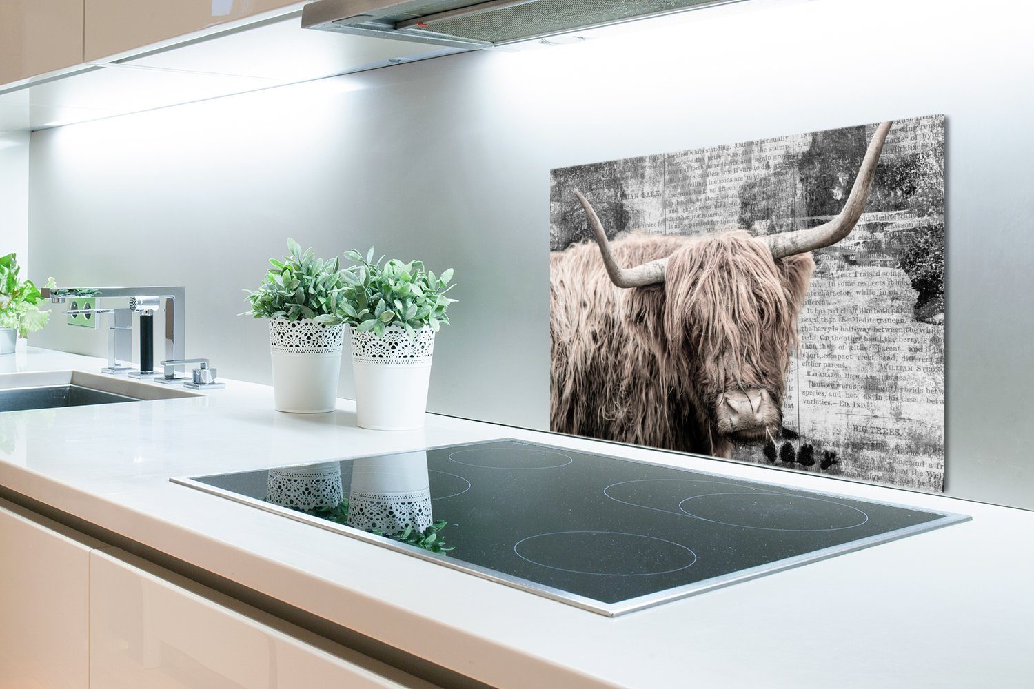 MuchoWow Küchenrückwand Schottischer Highlander - 60x40 Retro, cm, Wandschutz, Temperaturbeständig - aus (1-tlg), küchen Herdblende Kuh