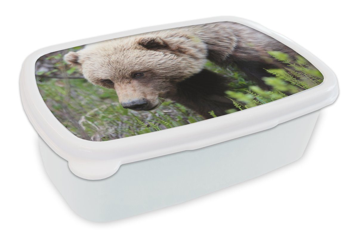 Lunchbox Bär Jungs für und - Mädchen Brotbox (2-tlg), für Kunststoff, Wald, MuchoWow weiß Brotdose, Erwachsene, Kinder Grizzly - und
