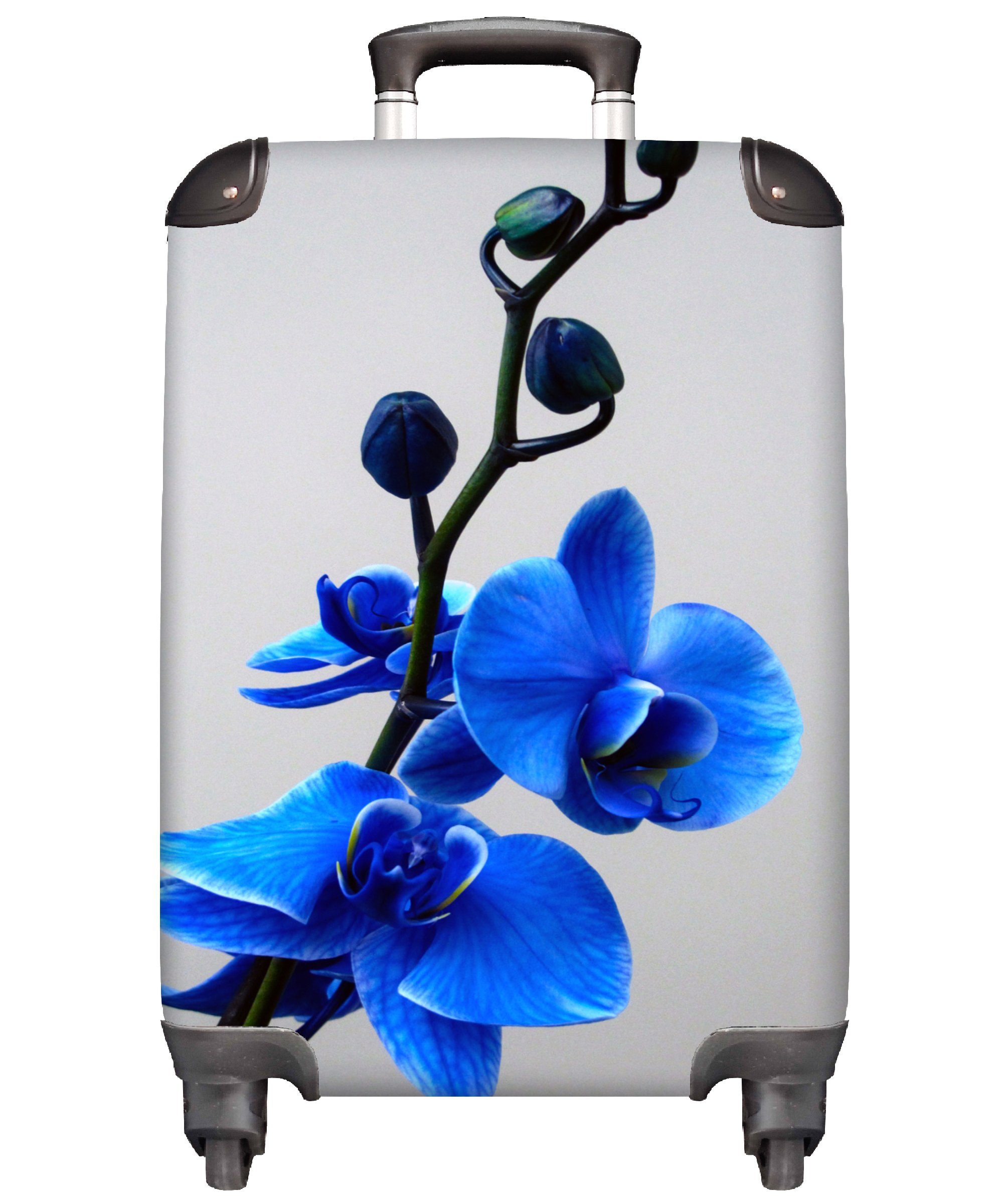 MuchoWow Handgepäckkoffer Blaue Orchidee, Reisekoffer Handgepäck mit Rollen, Trolley, für Reisetasche rollen, 4 Ferien