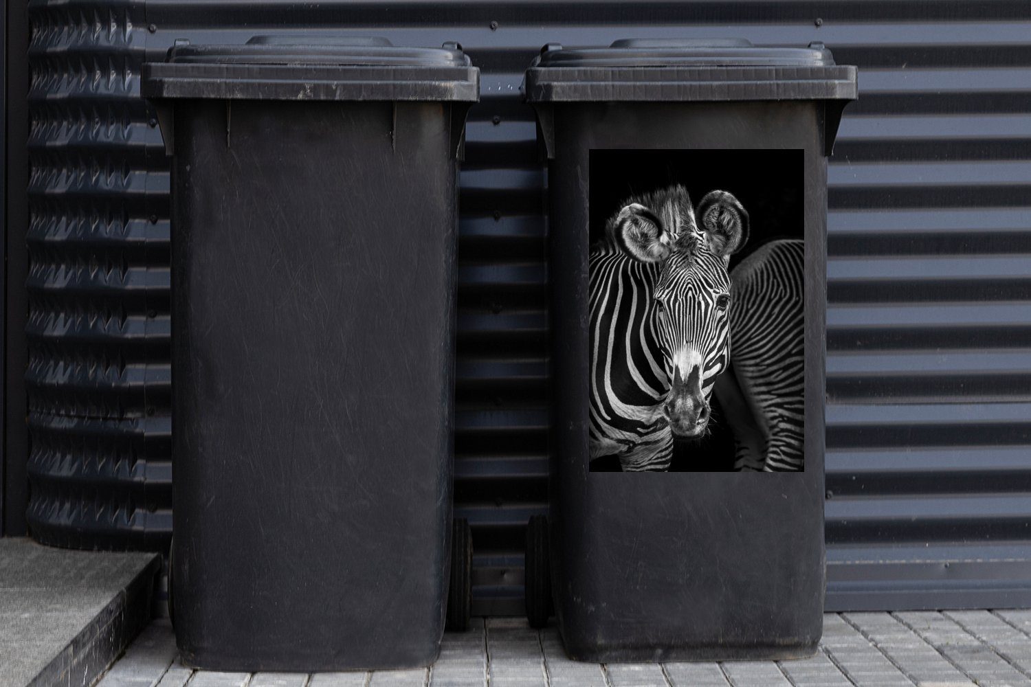 Container, Mülltonne, MuchoWow Hintergrund Sticker, Wandsticker (1 Mülleimer-aufkleber, St), schwarzem Zebras Abfalbehälter auf