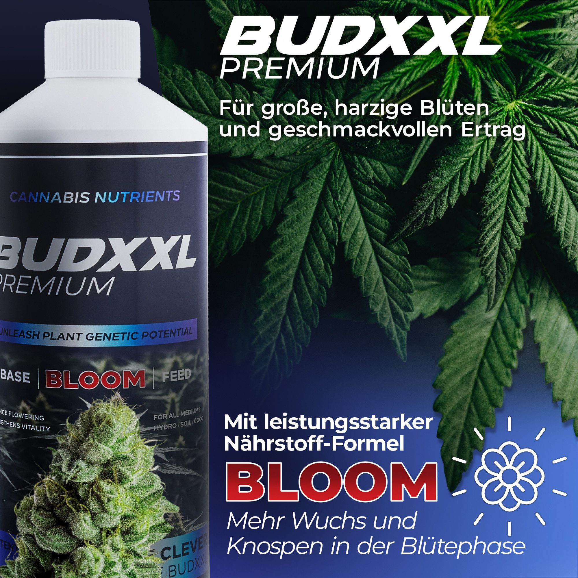 BUDXXL Spezialdünger Bloom für die Blütephase, günstig online kaufen