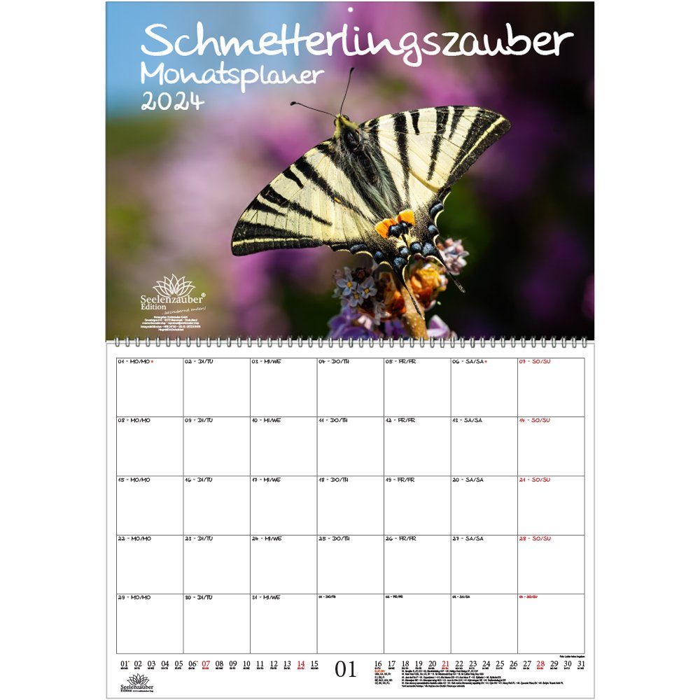 Schmetterlingszauber: Kostenlose Ausmalbilder für Groß und Klein – Kreativität, die Flügel verleiht!