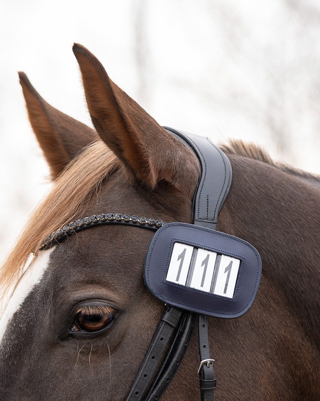 QHP Startnummern Startnummernhalter Modeste Square