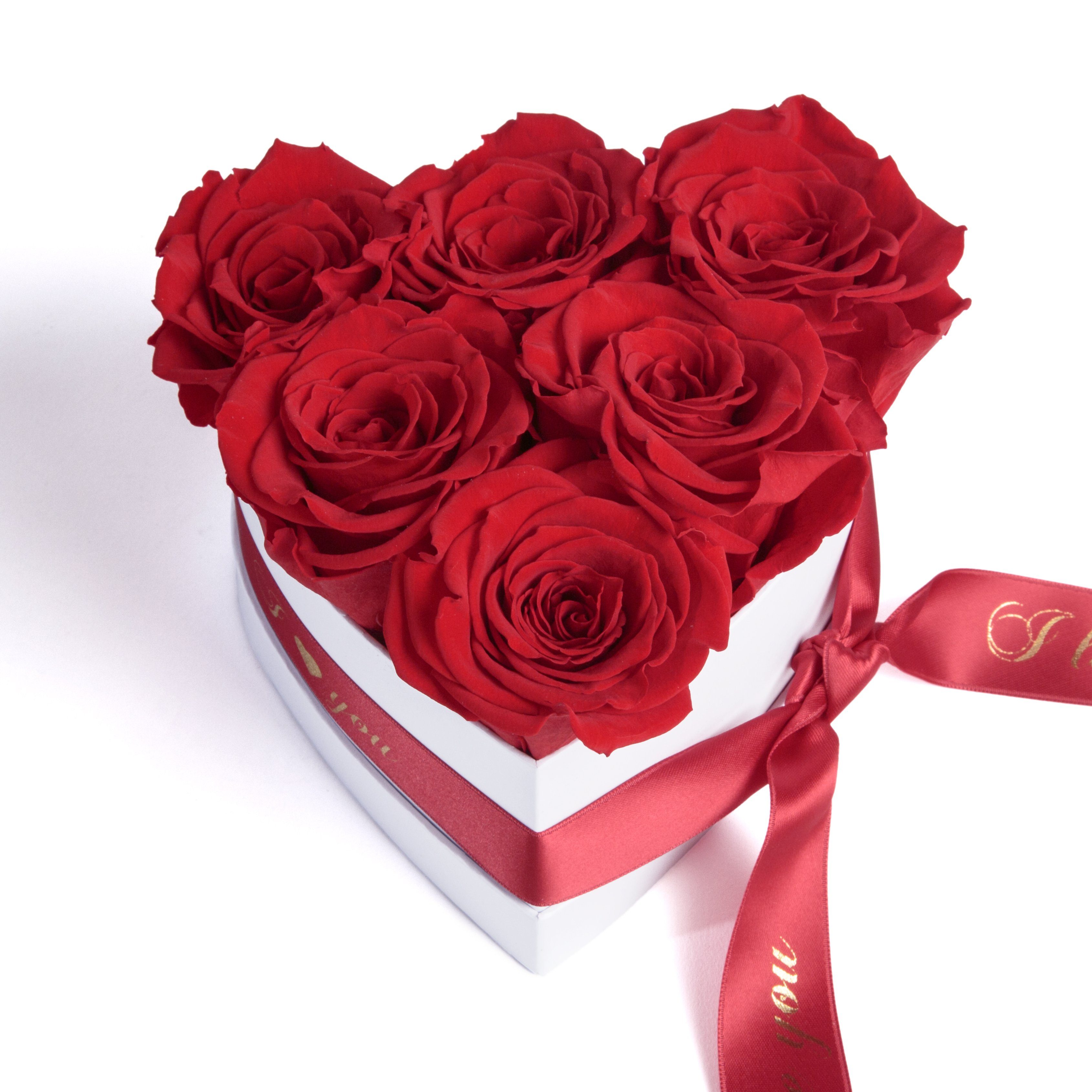 ROSEMARIE Geschenk Rot Love Frauen Geschenk You 10 SCHULZ Rosenbox für Herz Valentinstag Kunstblume Heidelberg, cm, Infinity I Frau Höhe Rose, 6 ewige für Rosen