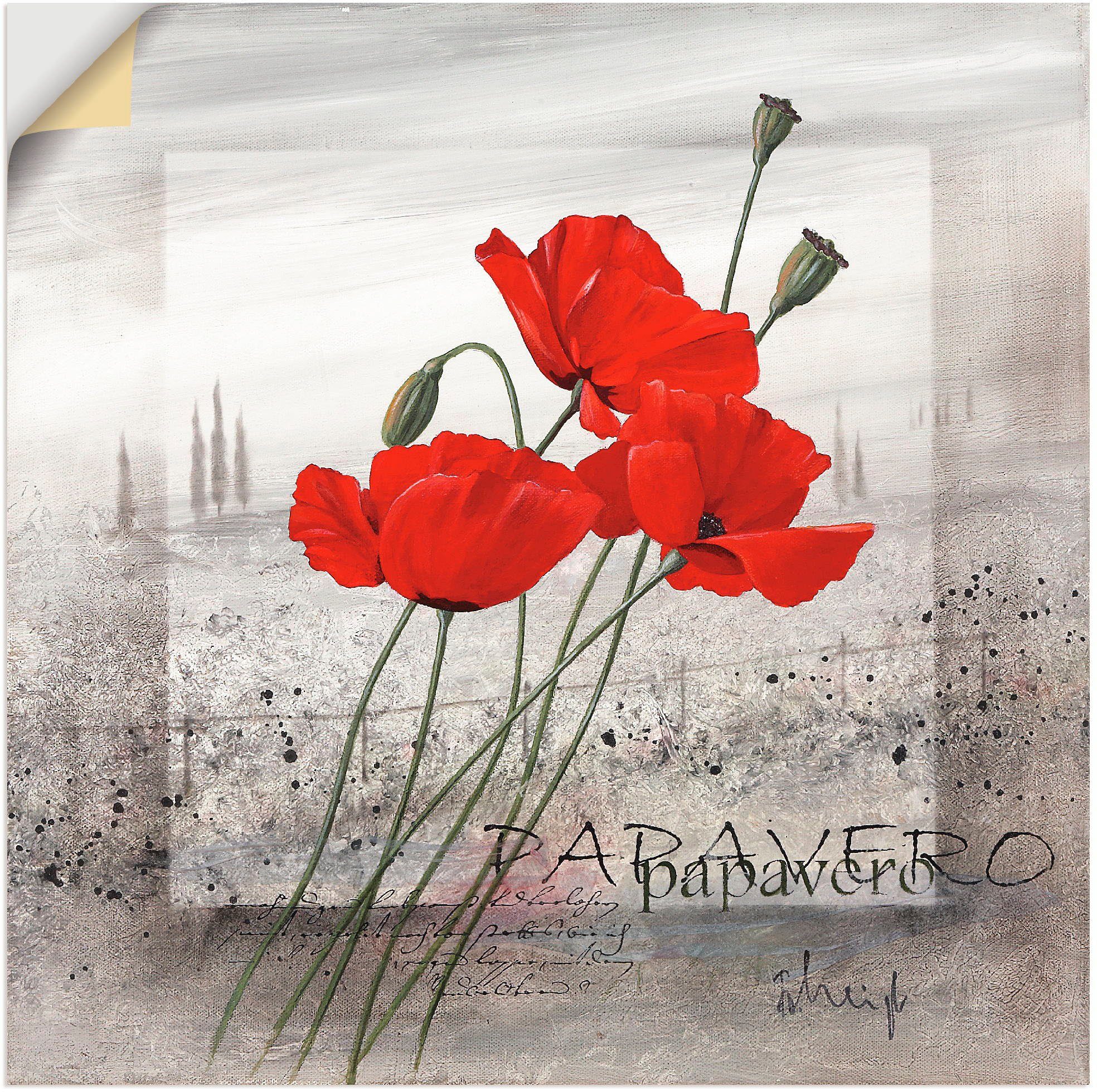 Artland Wandbild Mohnblumen, Blumen (1 St), günstig online kaufen