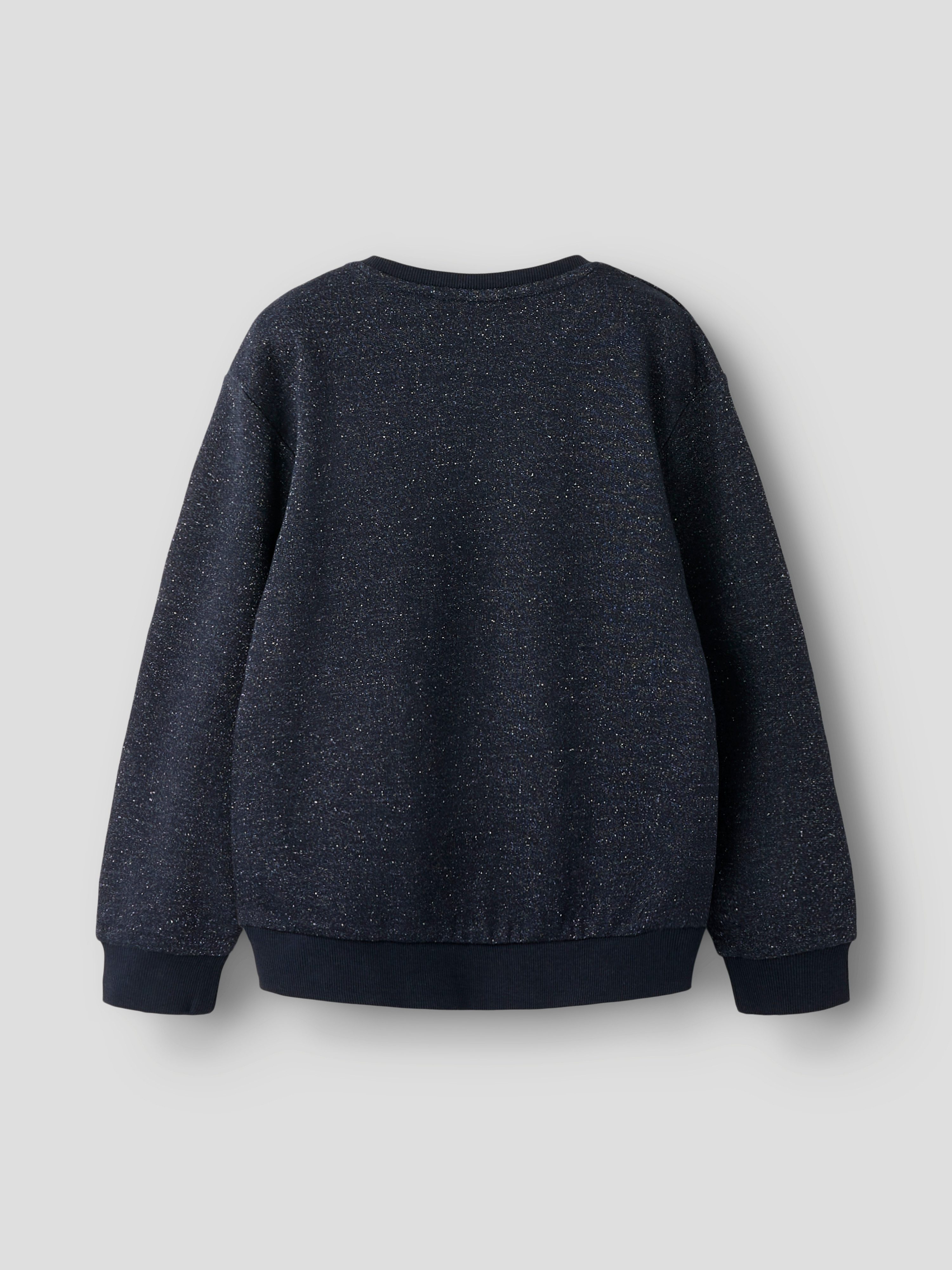 Name It Sweatshirt NKFTILDE LS NREG SWEAT TOP UNB PB