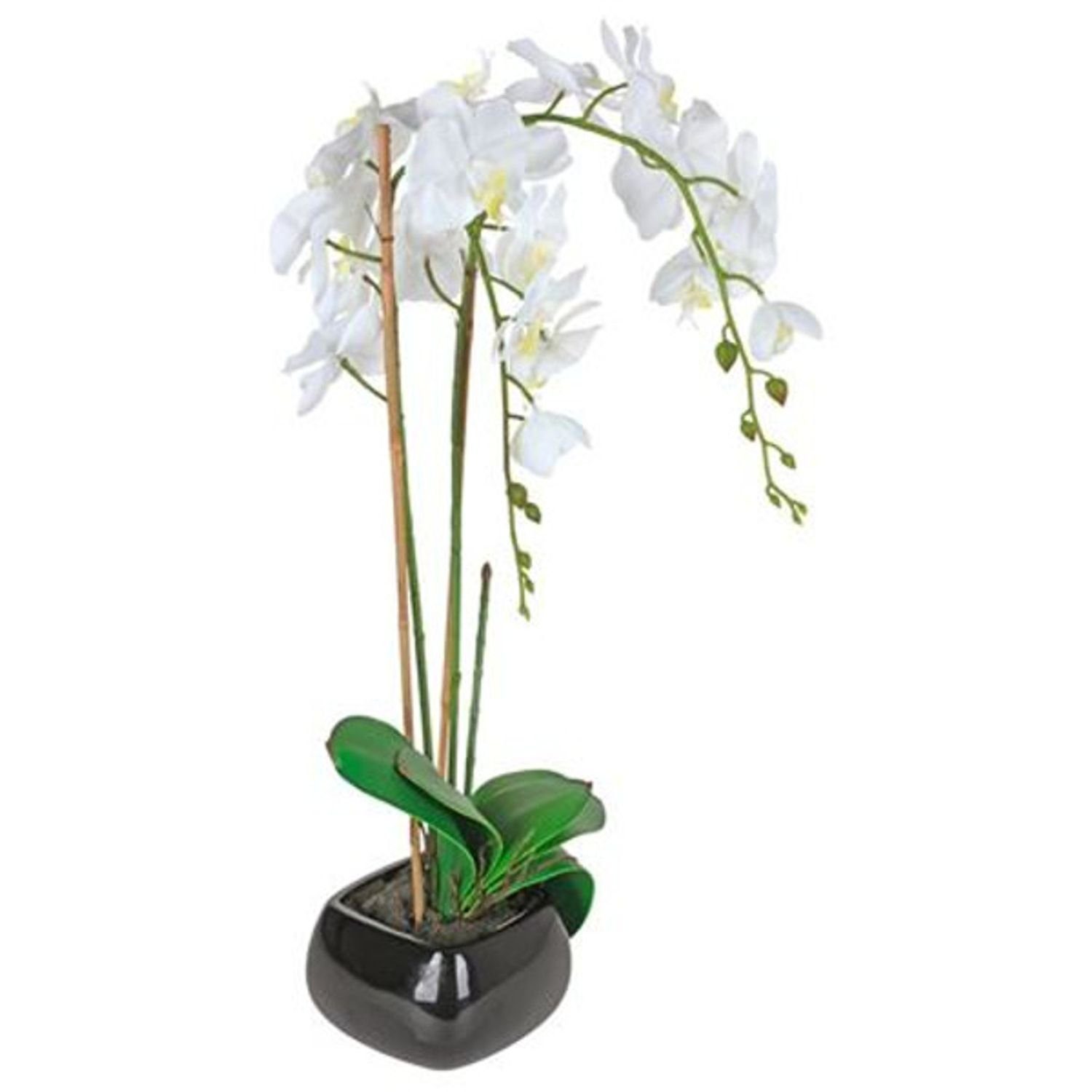 Kunstpflanze Künstliche Orchidee 68cm im Kunstpflanze Keramiktopf Dek, Zimmerpflanze BURI