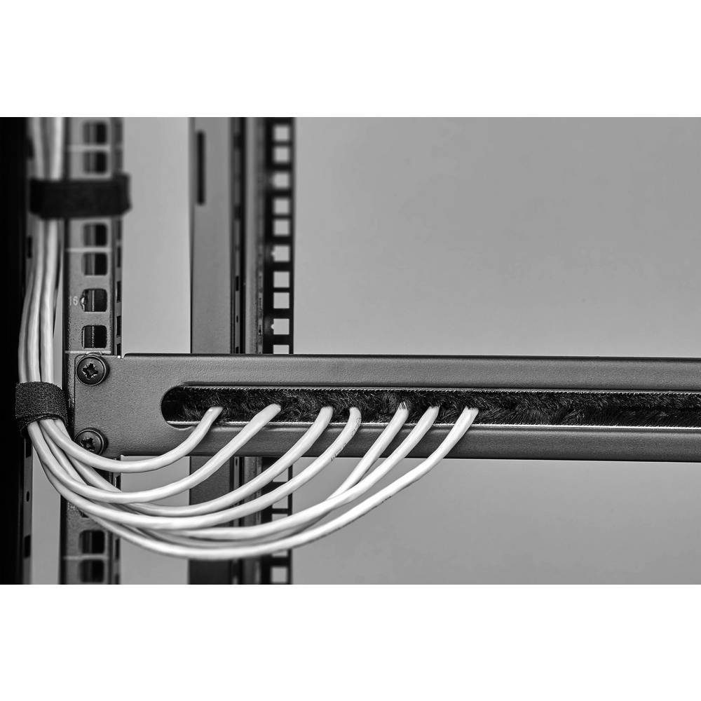 Renkforce Netzwerkschrank 48.26 cm (19) Kabeldurchführung 1HE mit Bürsteneinsatz RF-3429146