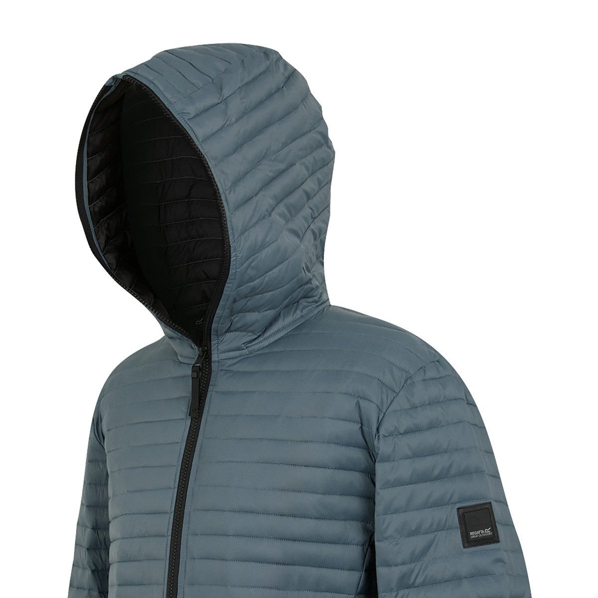Regatta Steppjacke Rigain Herren Winterjacke, Übergangsjacke, Windjacke, Outdoorjacke, Mantel