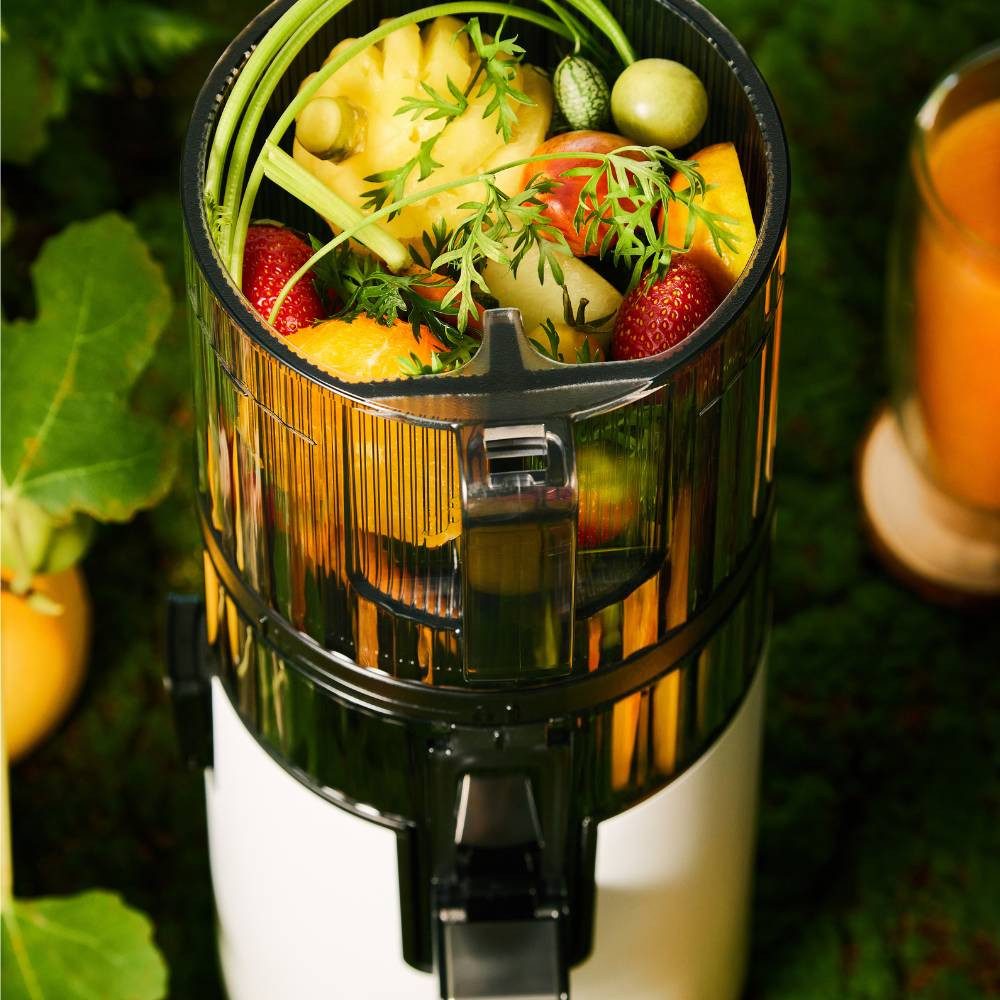 Hurom Entsafter Hurom Slow Juicer H70ST