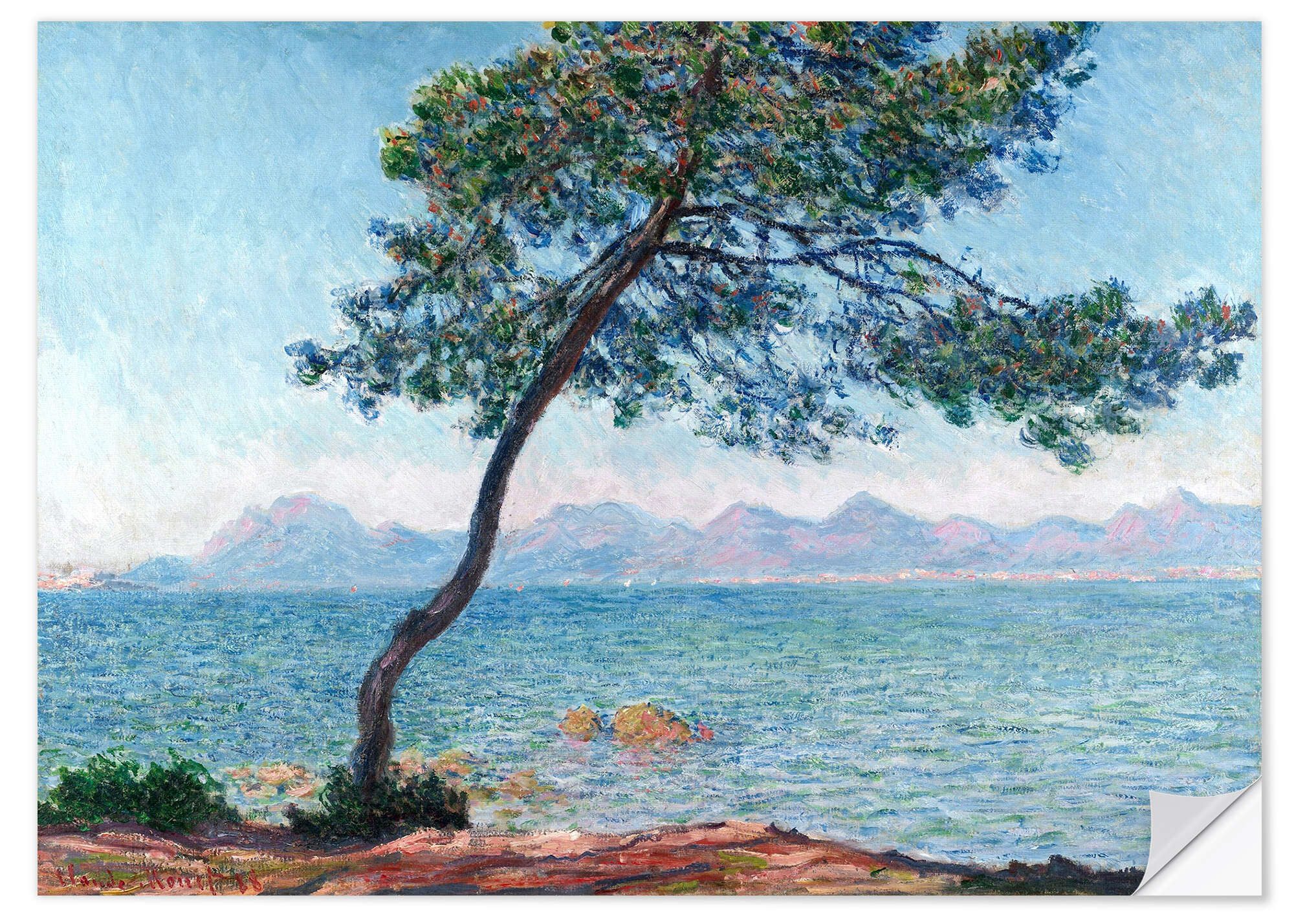 Wandfolie Claude Monet